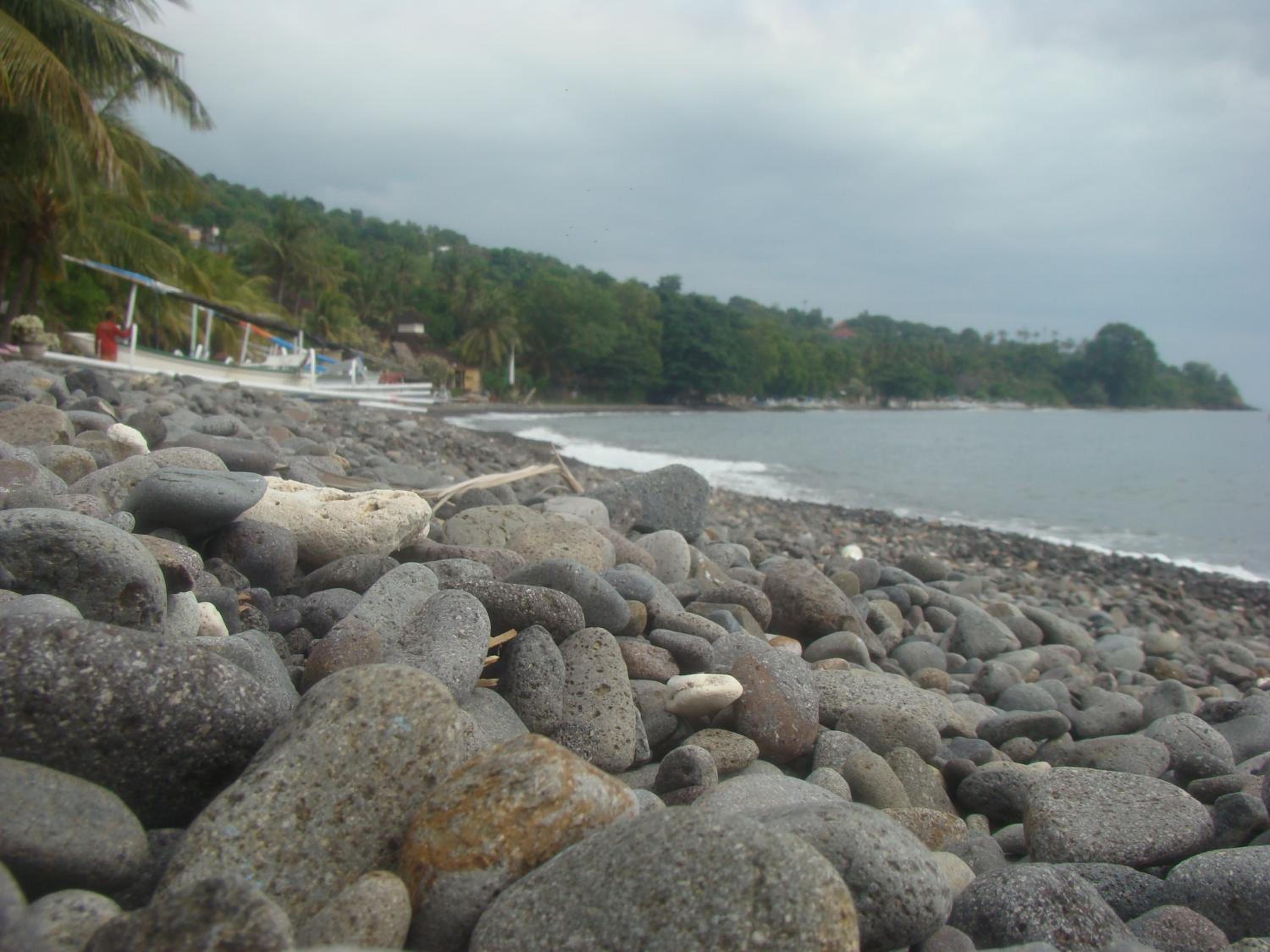 Taman Padi Villa