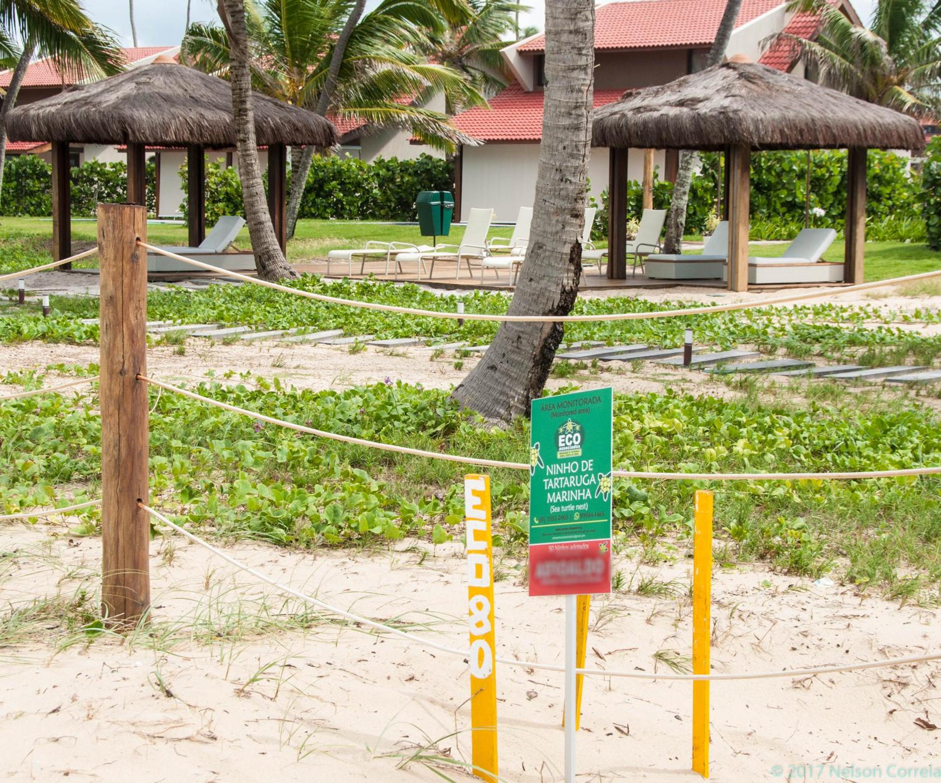 Apto Oka Beach Residence