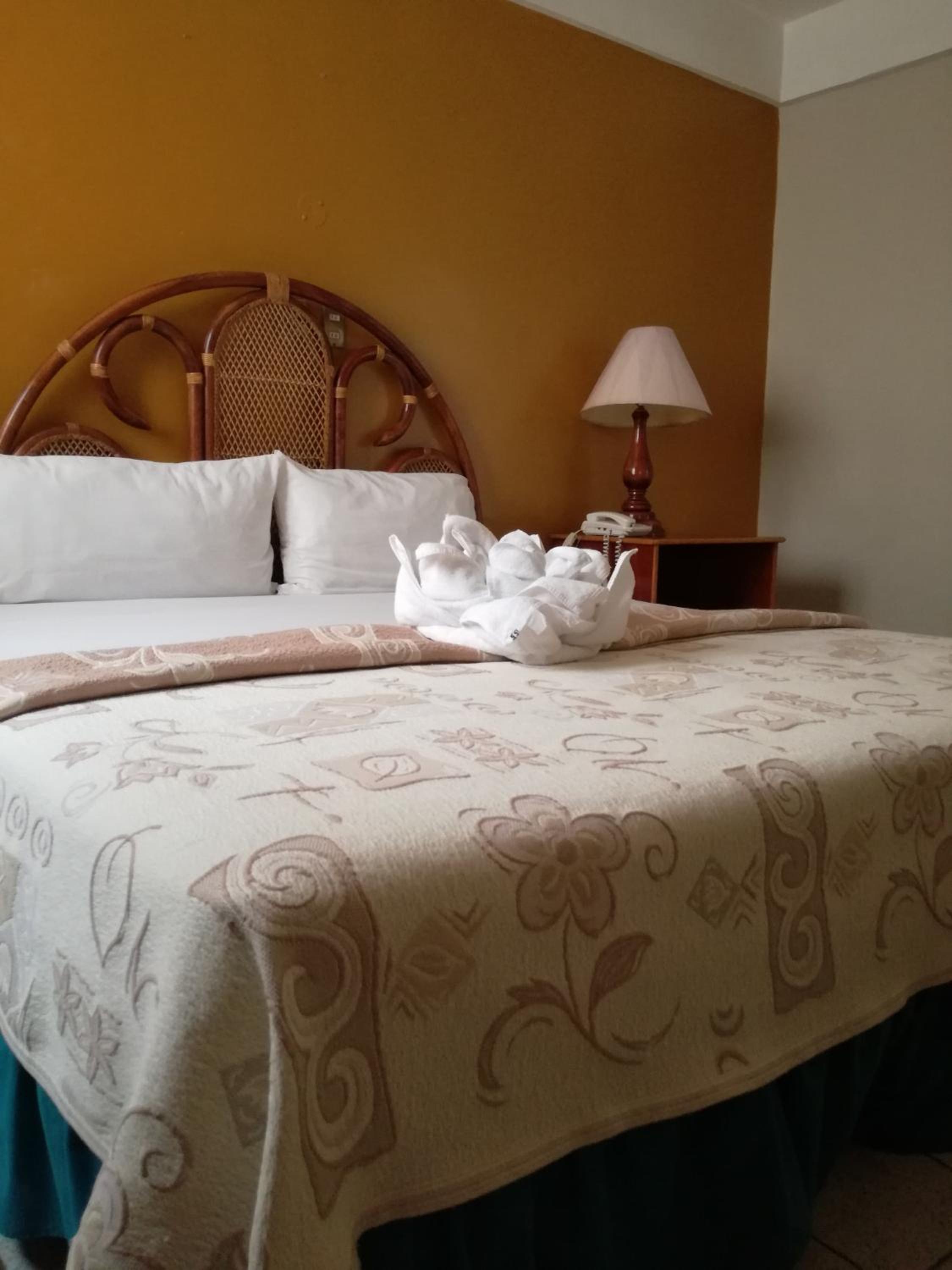 Colima Vacations - Hotel Dinastia Colima - Property Image 2