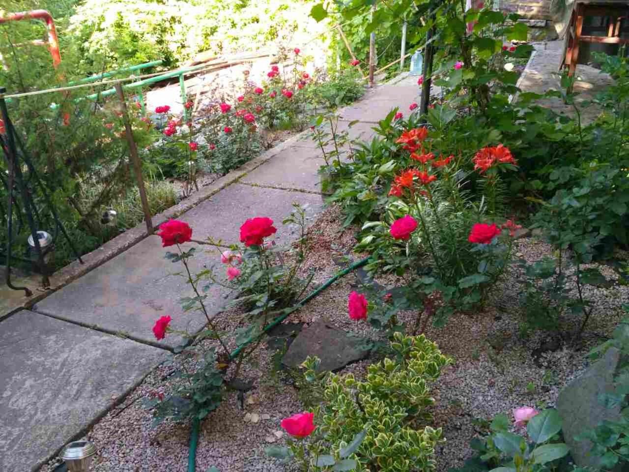 Photo 35