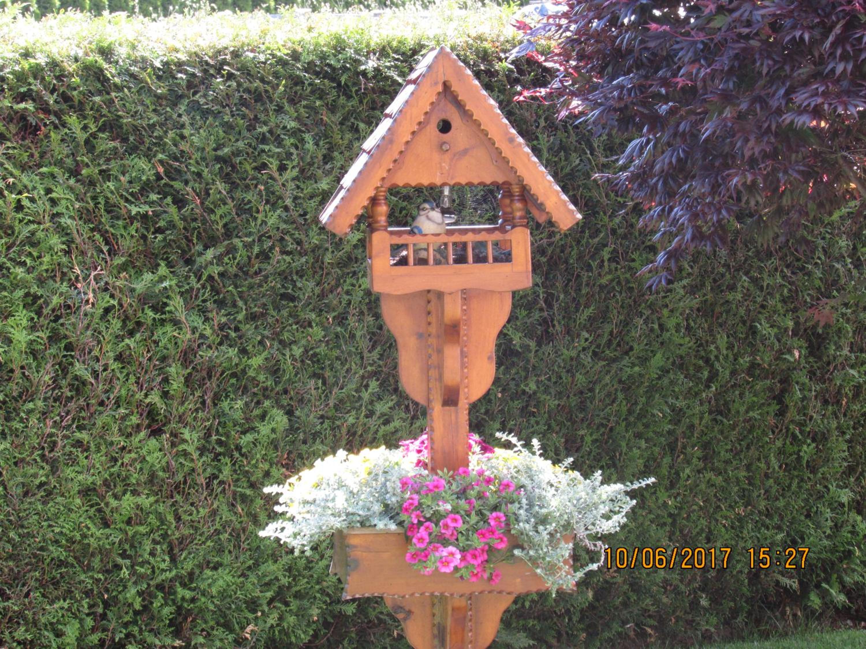 Photo 51