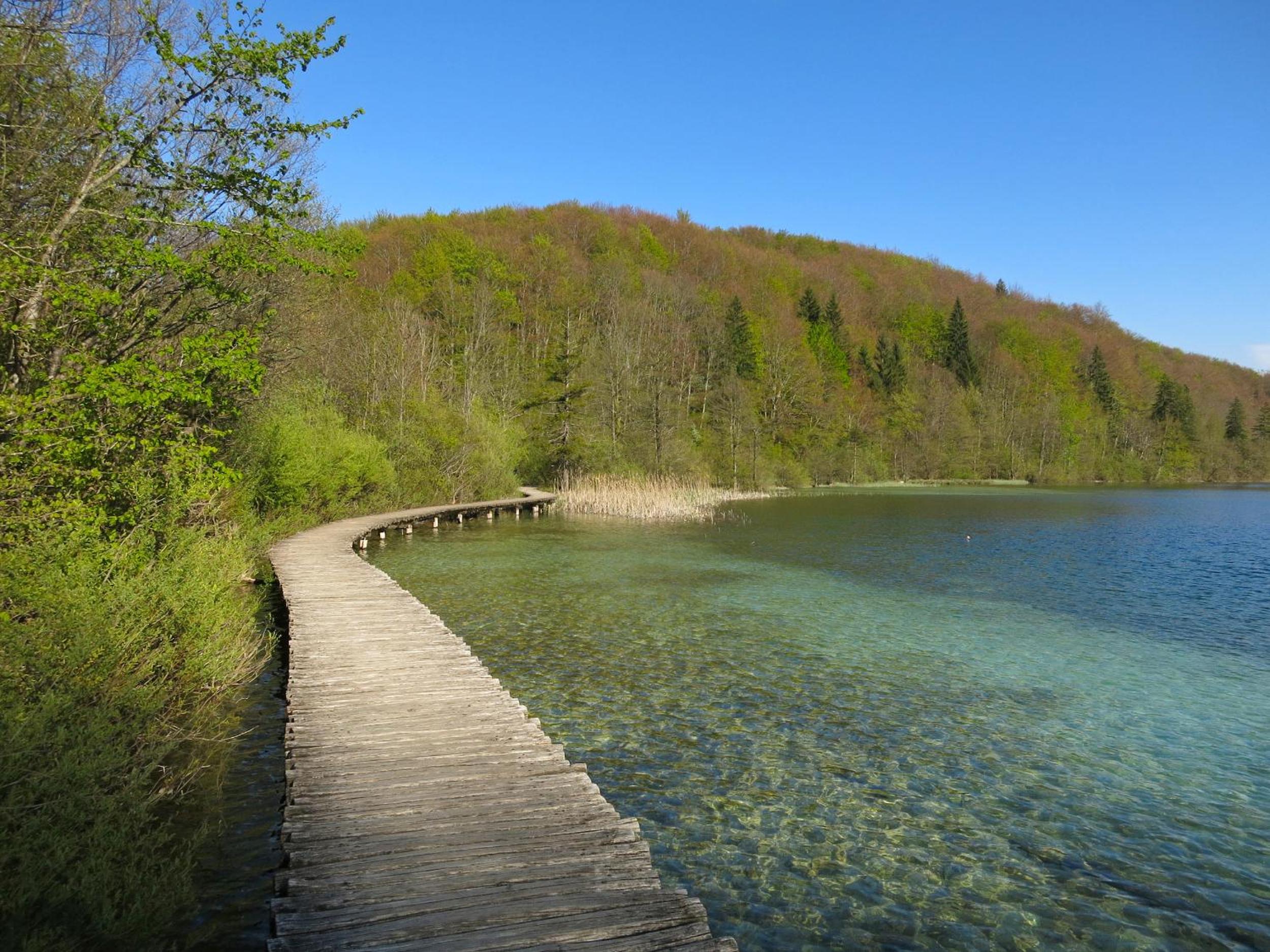 Photo 44