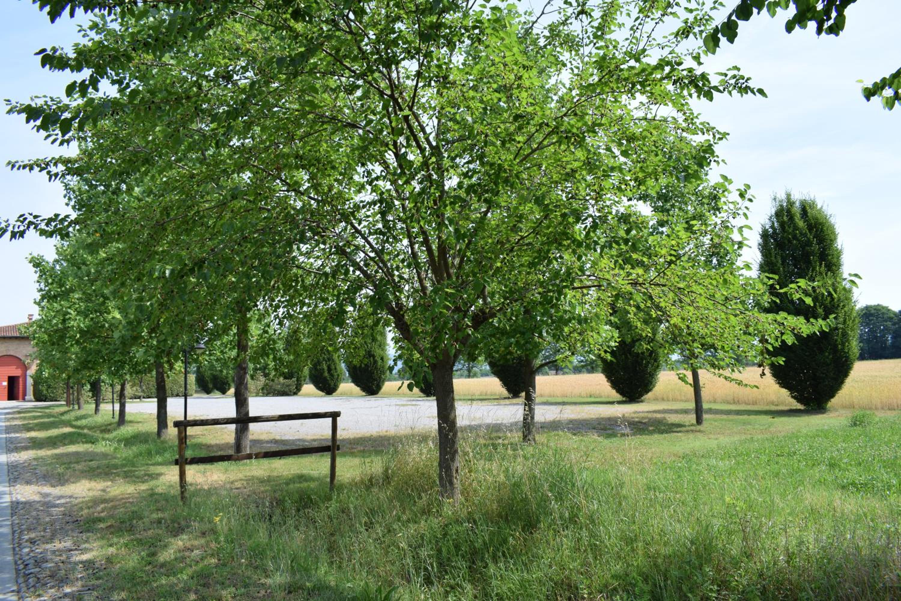 Agriturismo Cà Del Lupo view 5