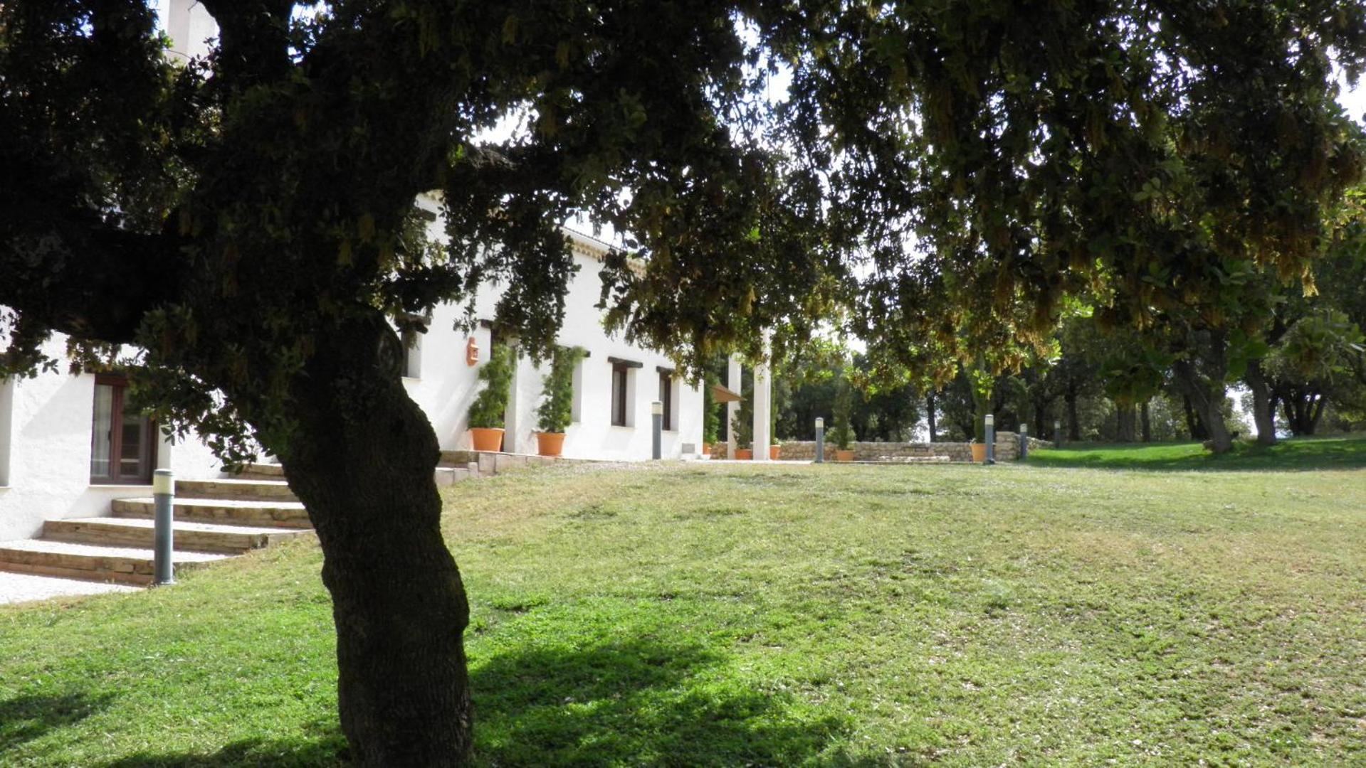 Photo 29