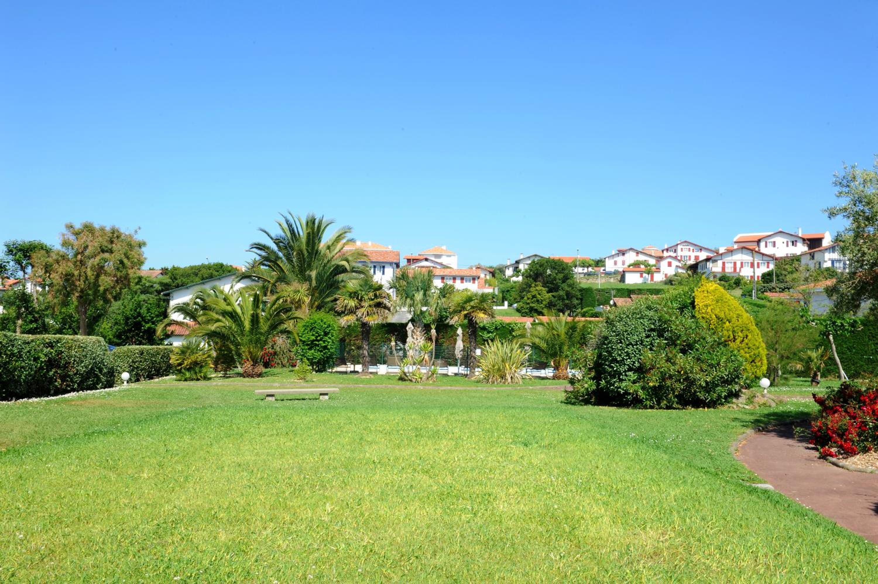 Photo 42