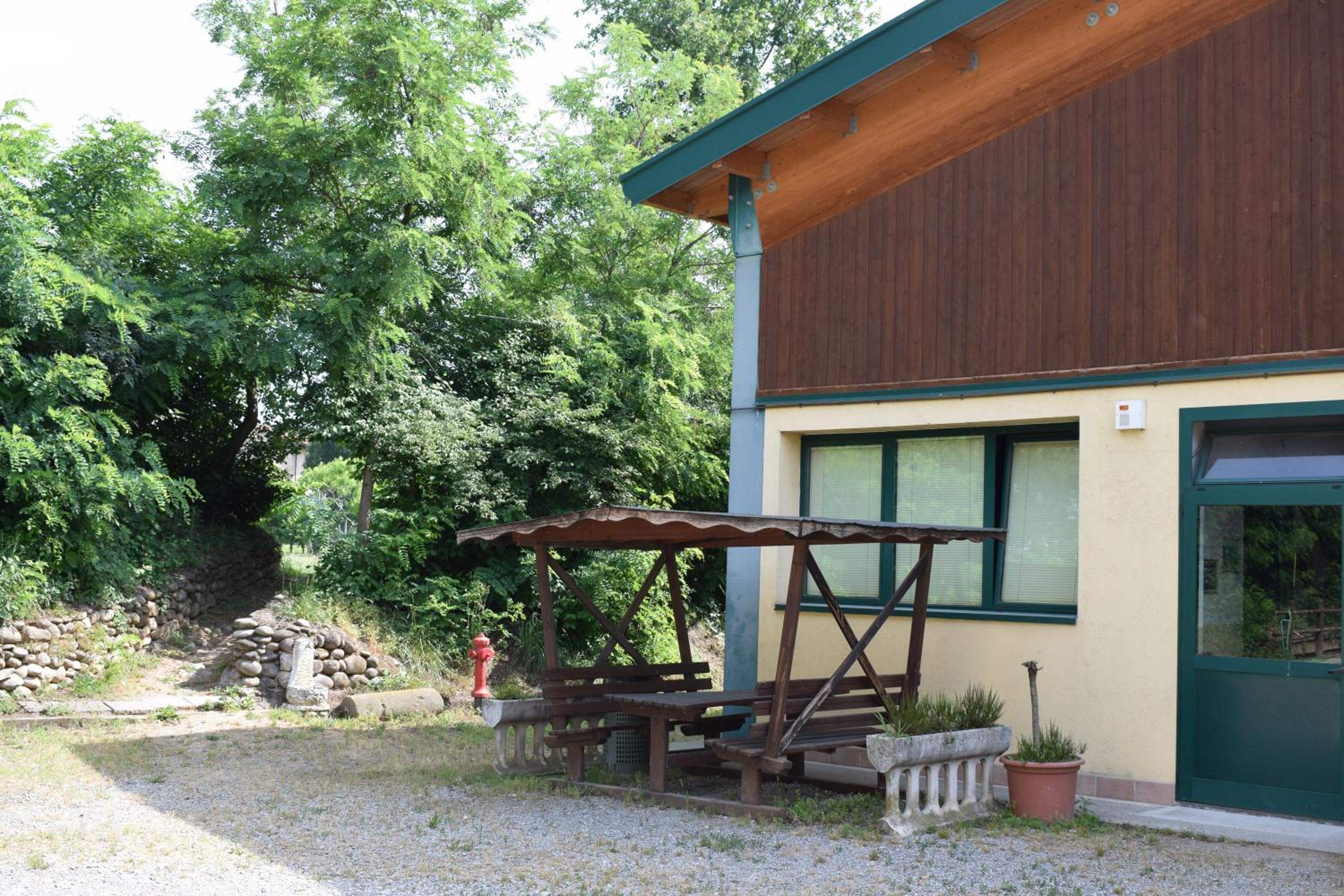 Photo 8