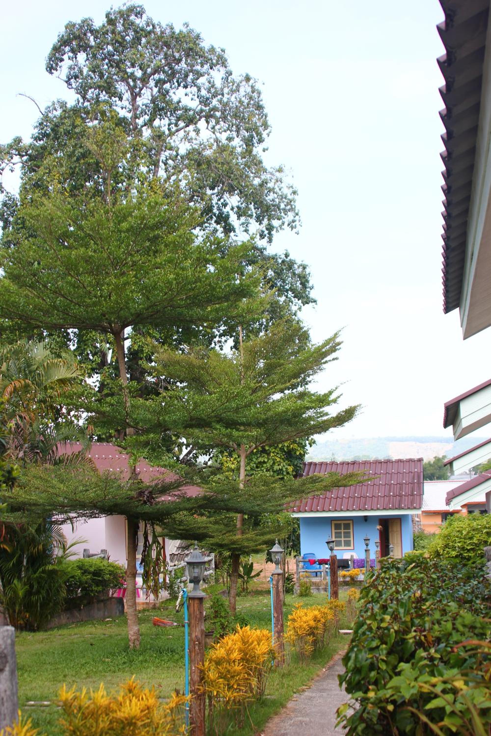 Dahla House Ranong