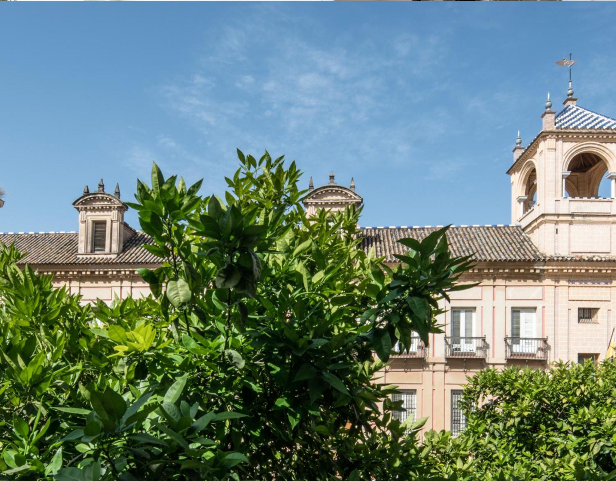 CSE Santa Maria Apartments