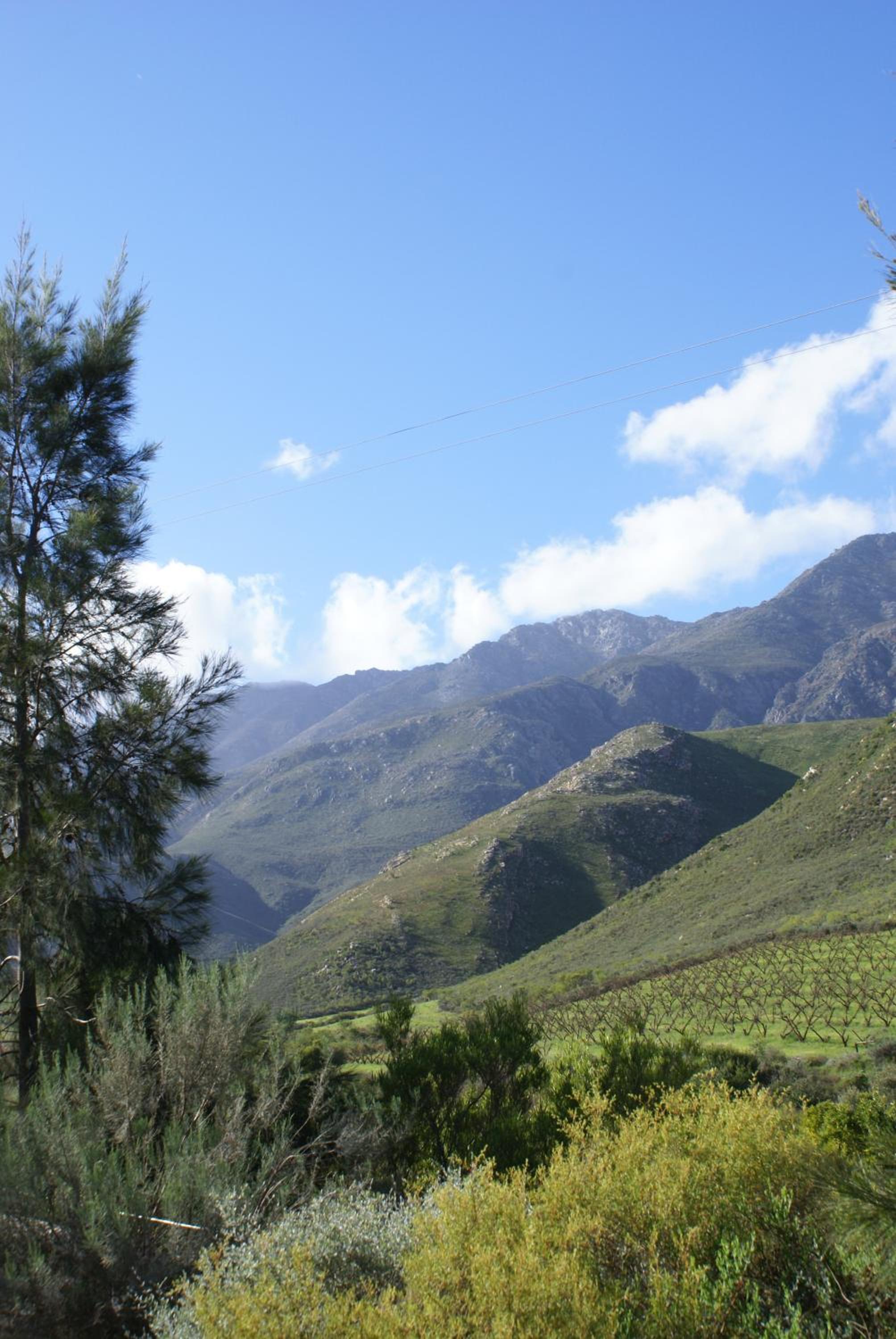Tierhoek Cottages