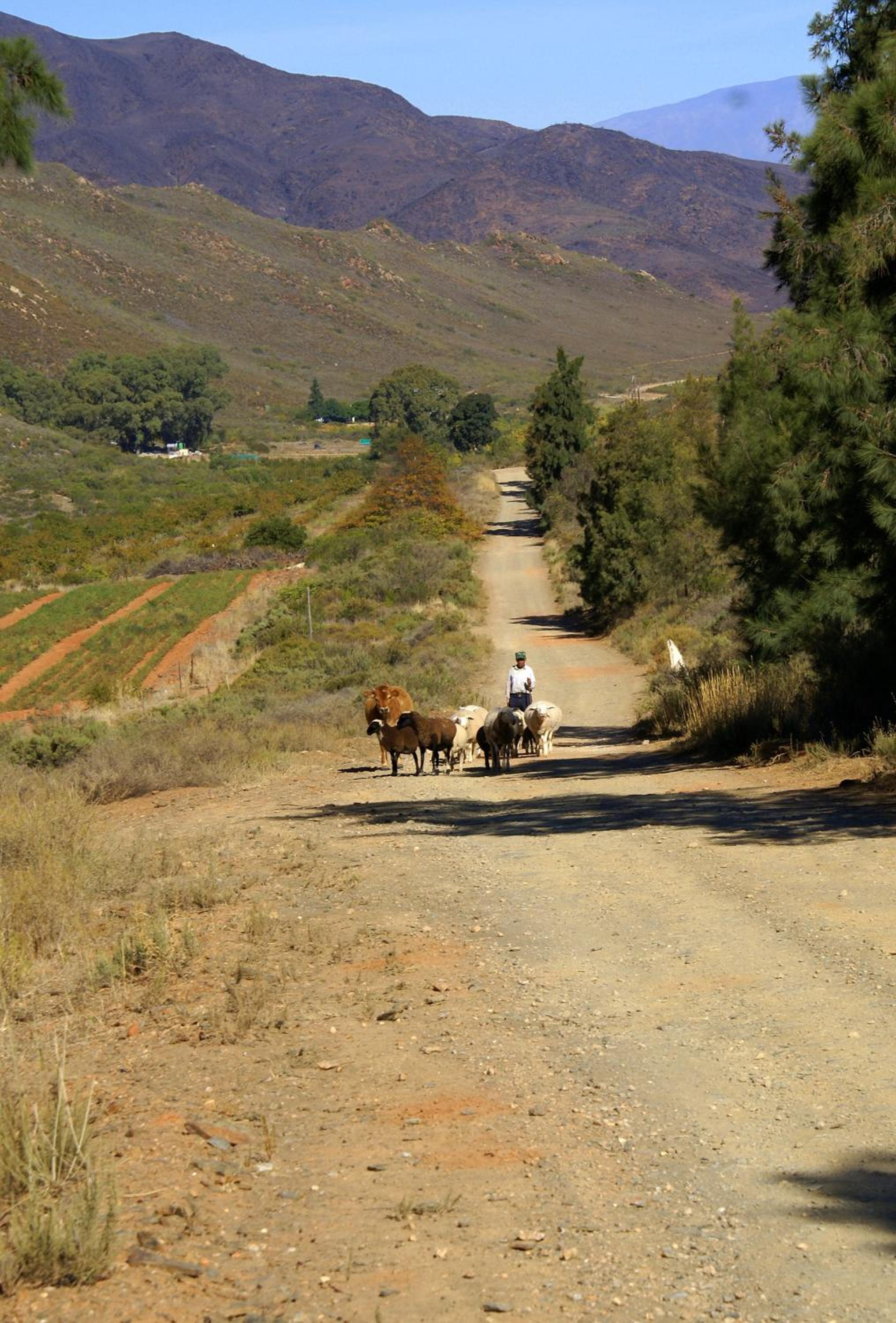 Tierhoek Cottages