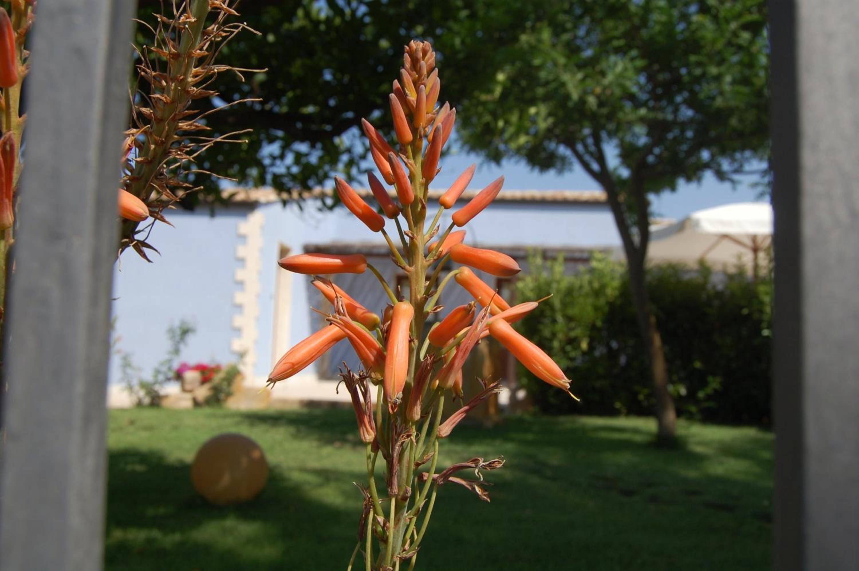 Terre Iblee Resort