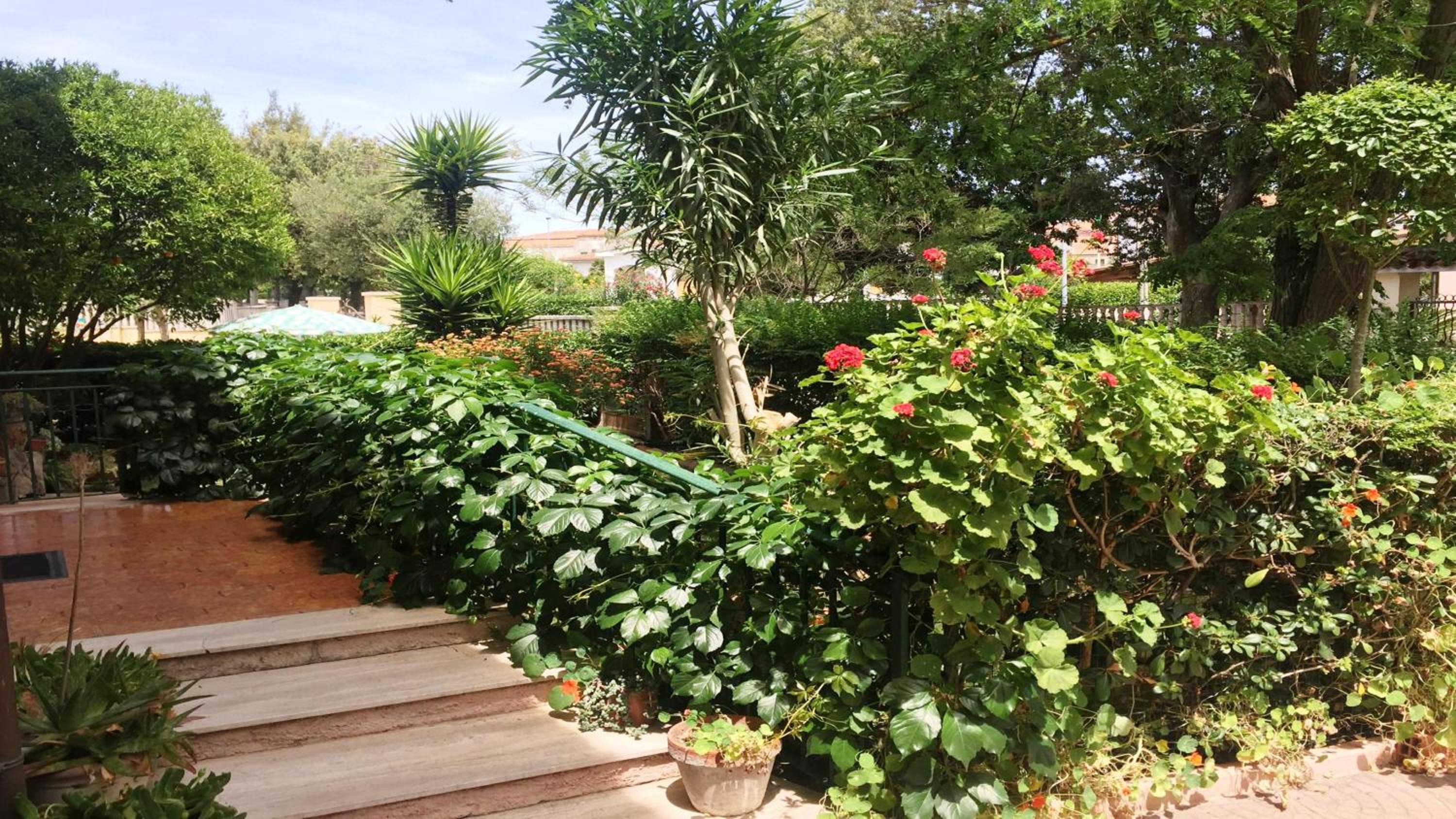 B&B Pani Silvio view 5