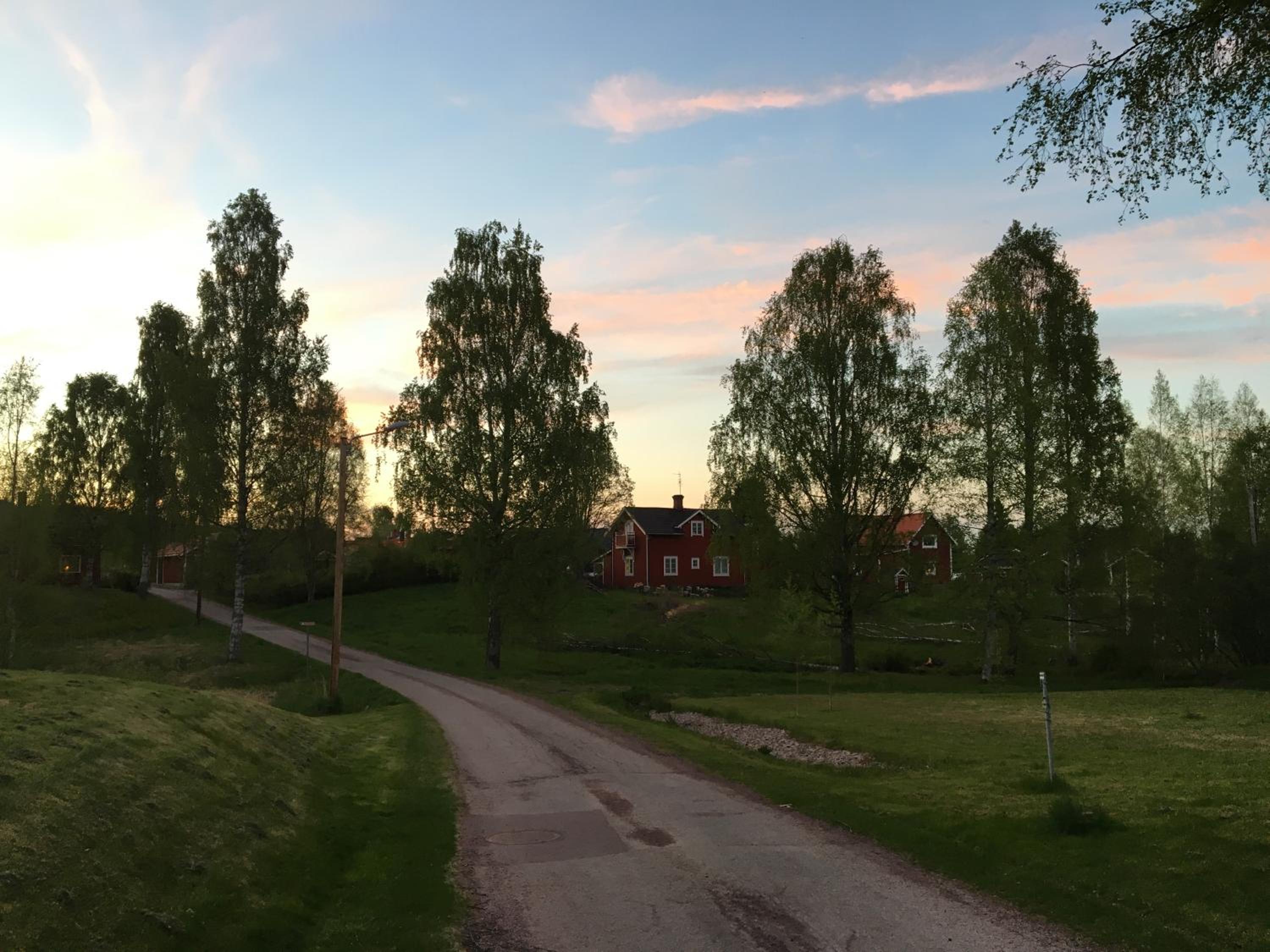 Photo 36