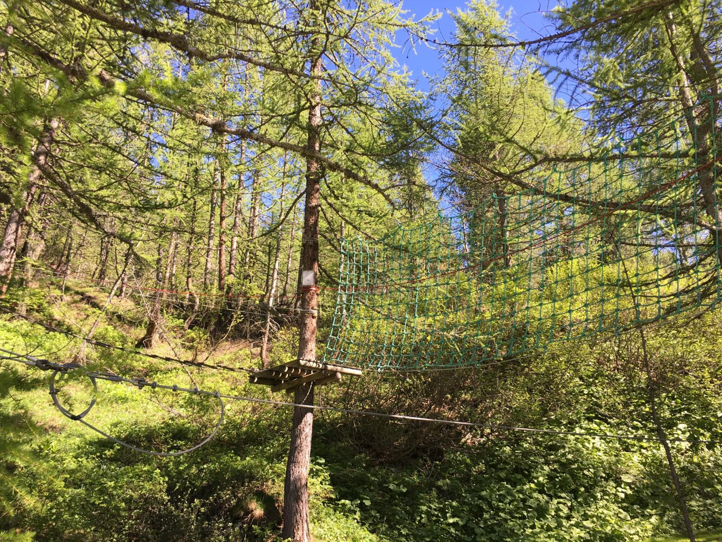 Photo 42