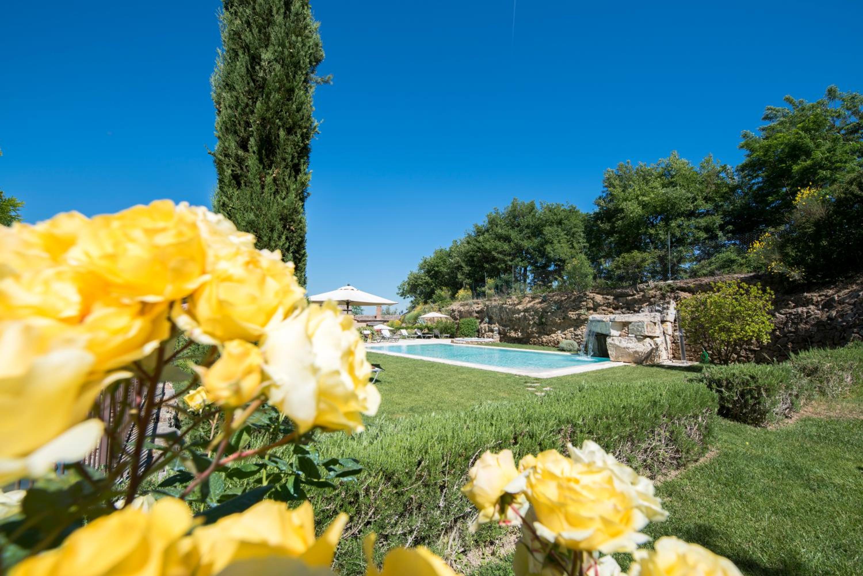 Molino Della Lodola photo 5