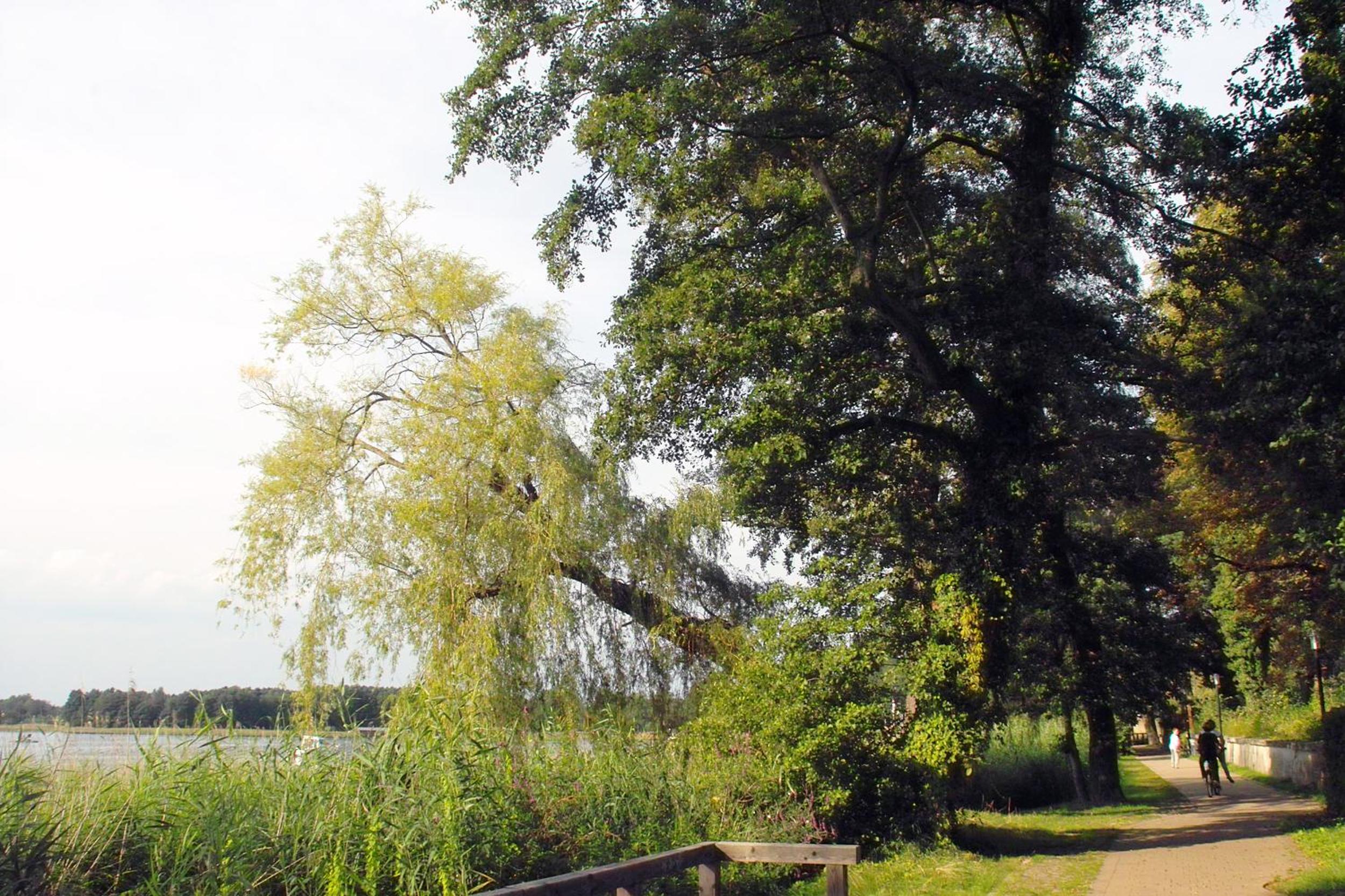 Keramik Hotel Rheinsberg