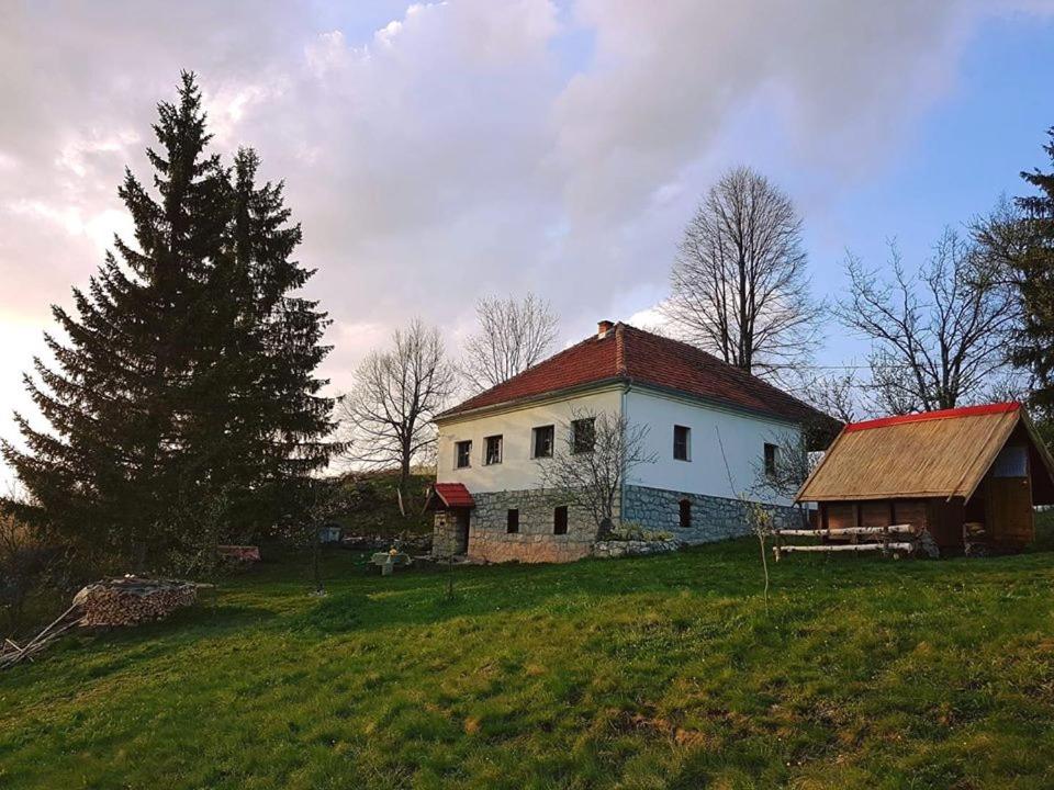 Photo 28