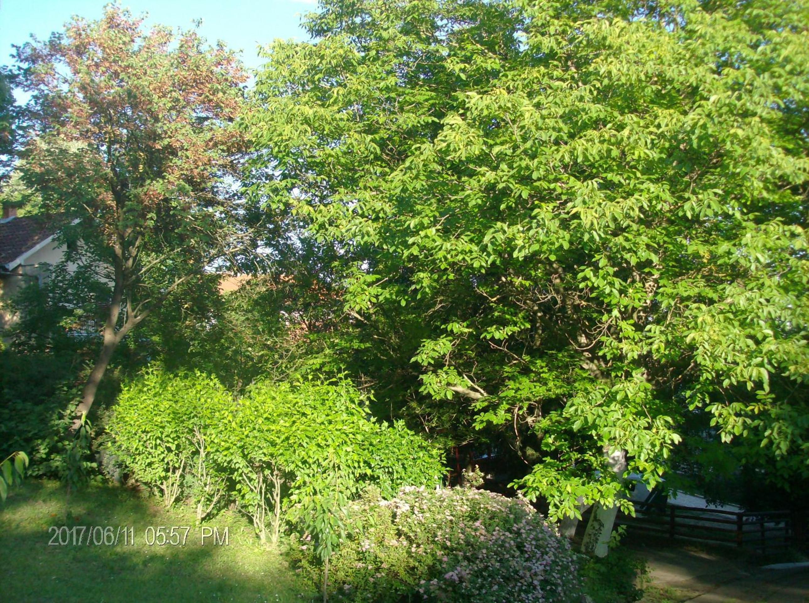 Photo 43