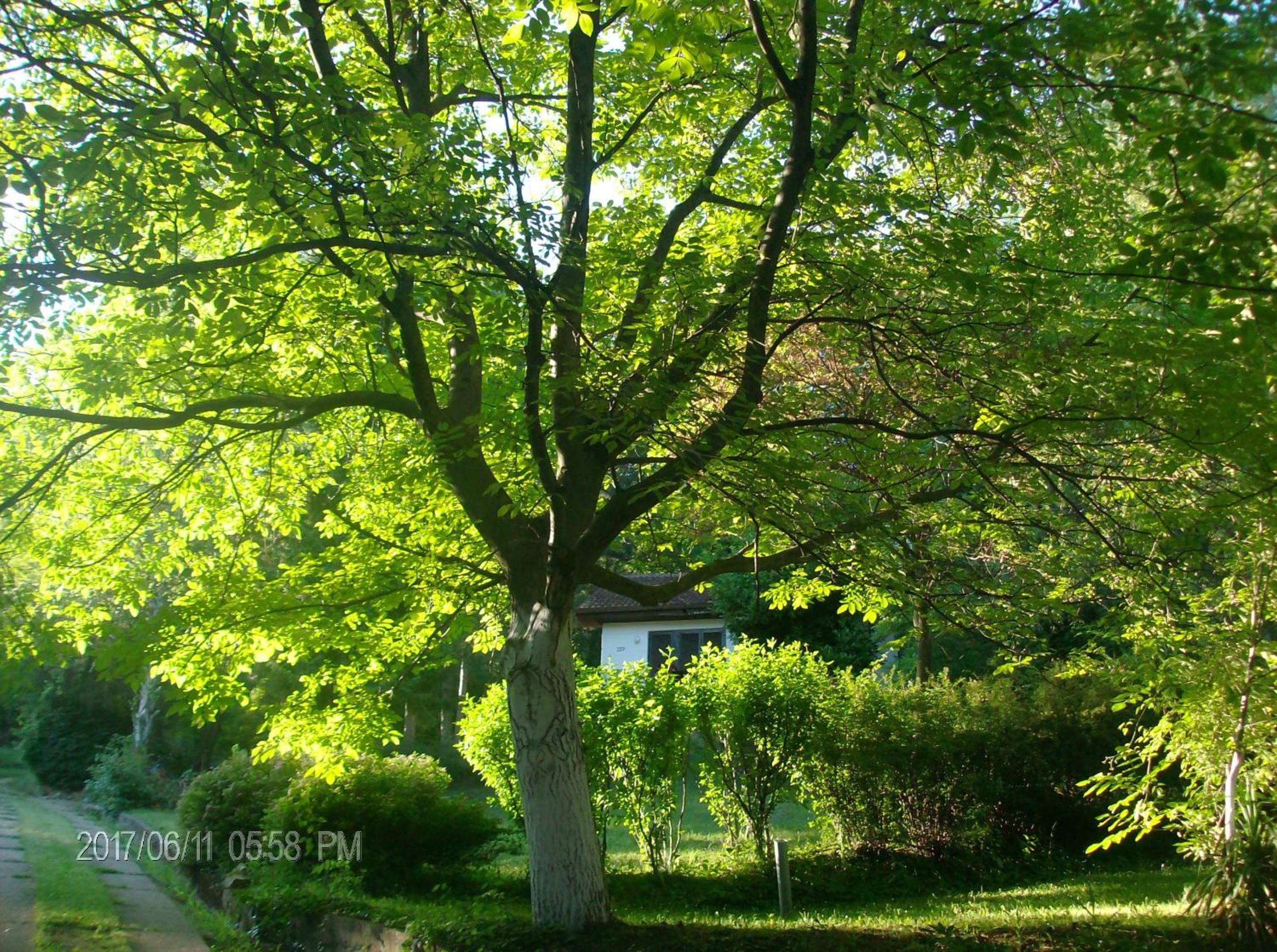Photo 40