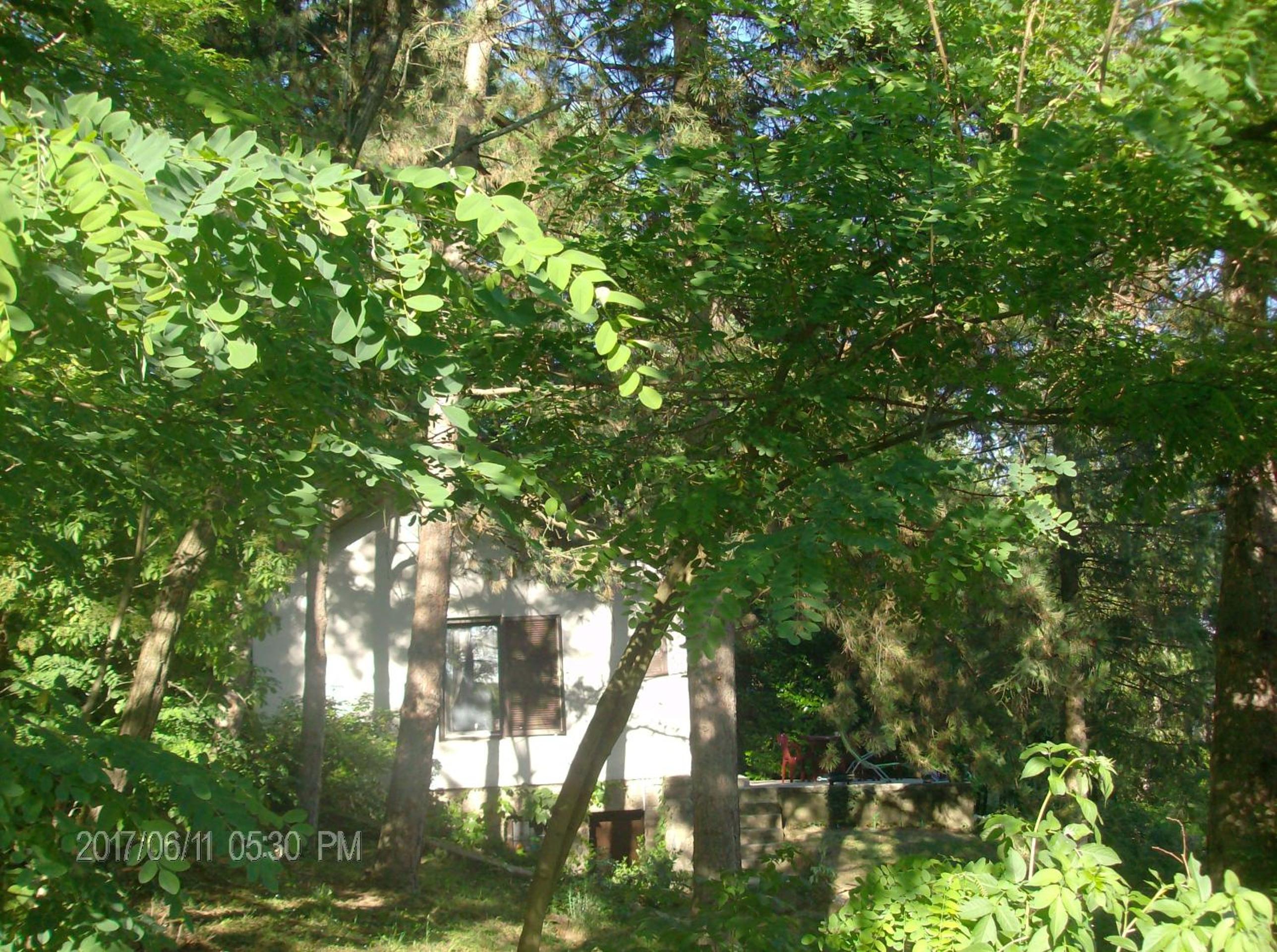 Photo 57
