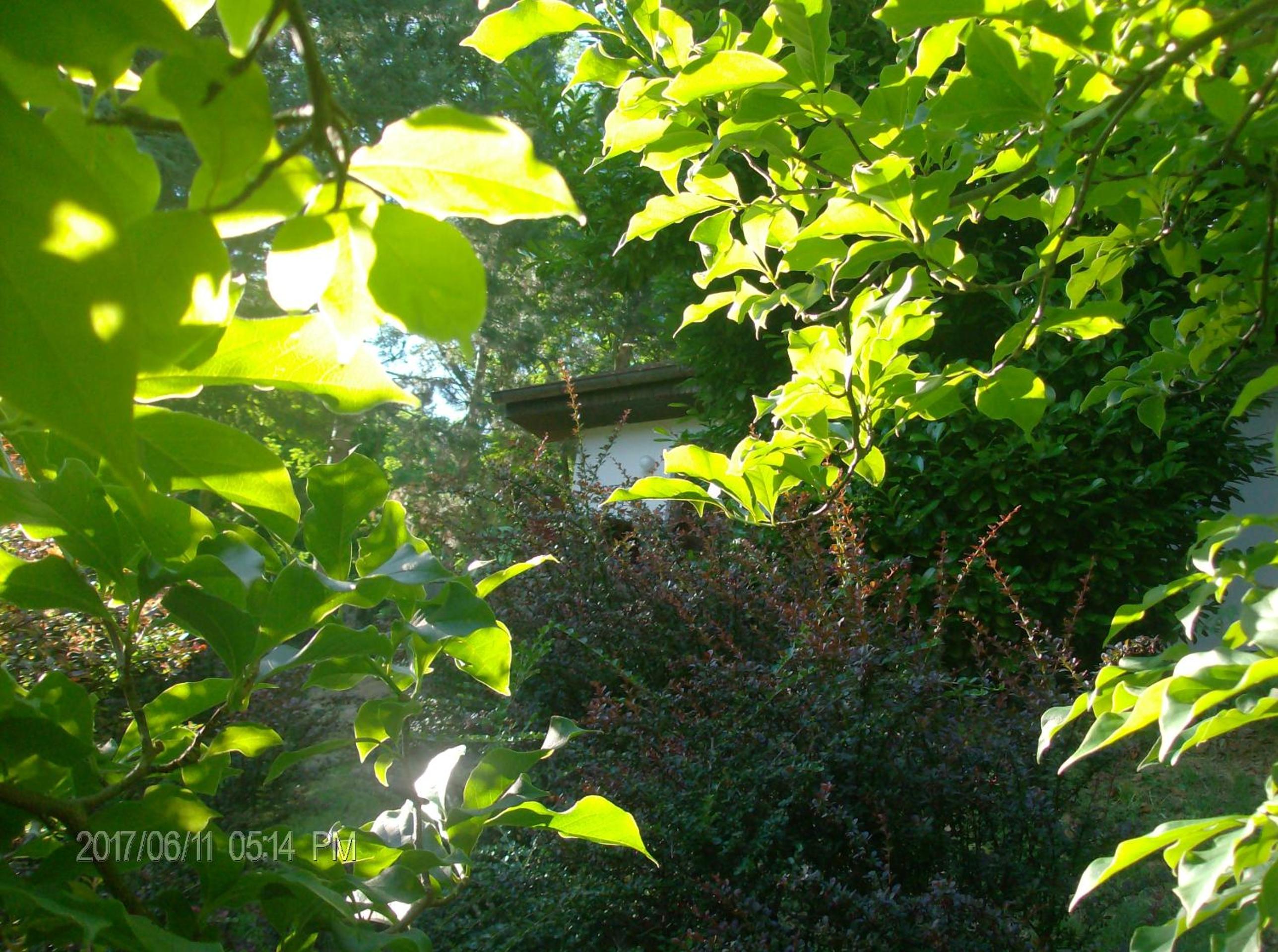 Photo 35