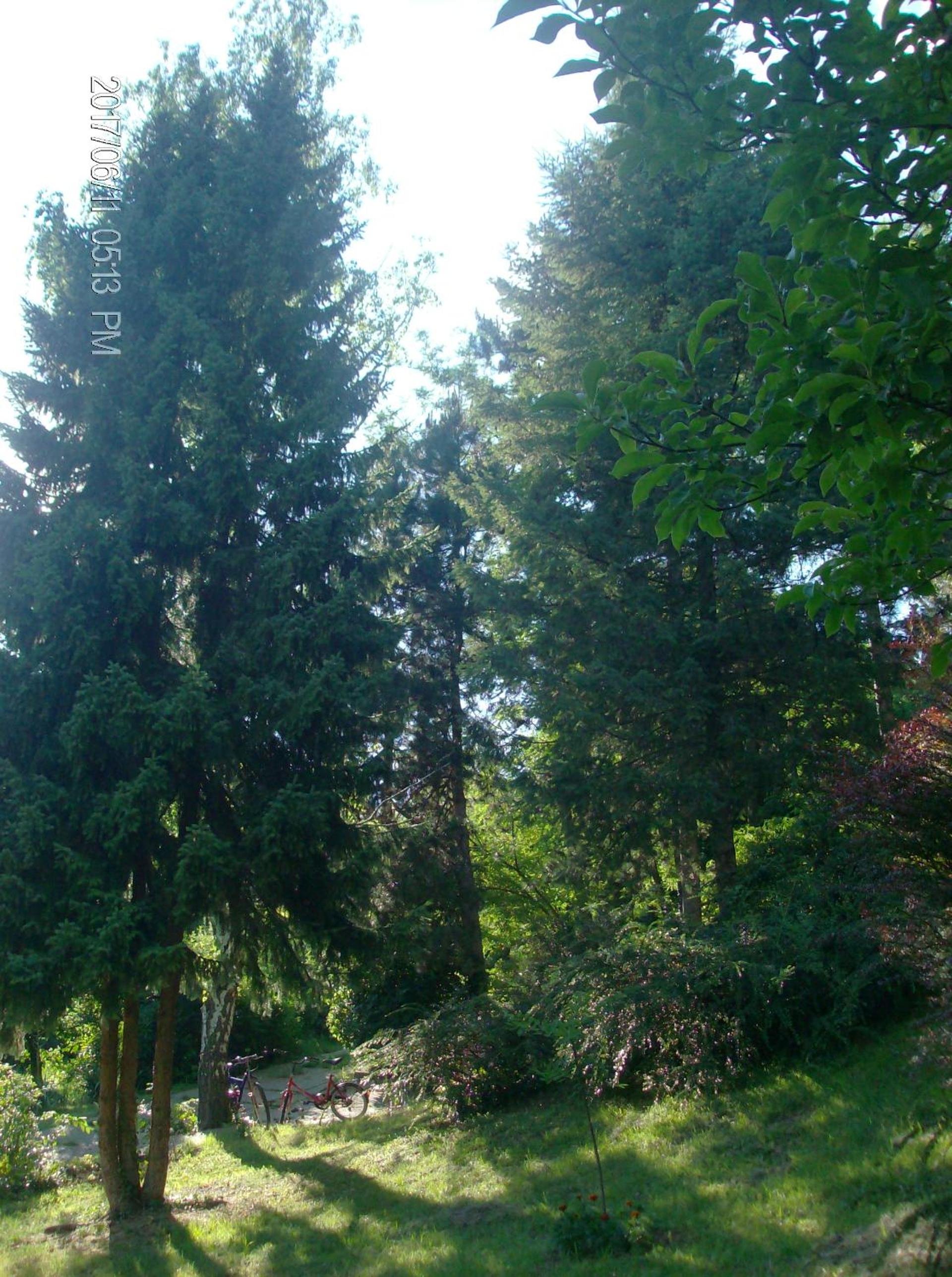 Photo 39