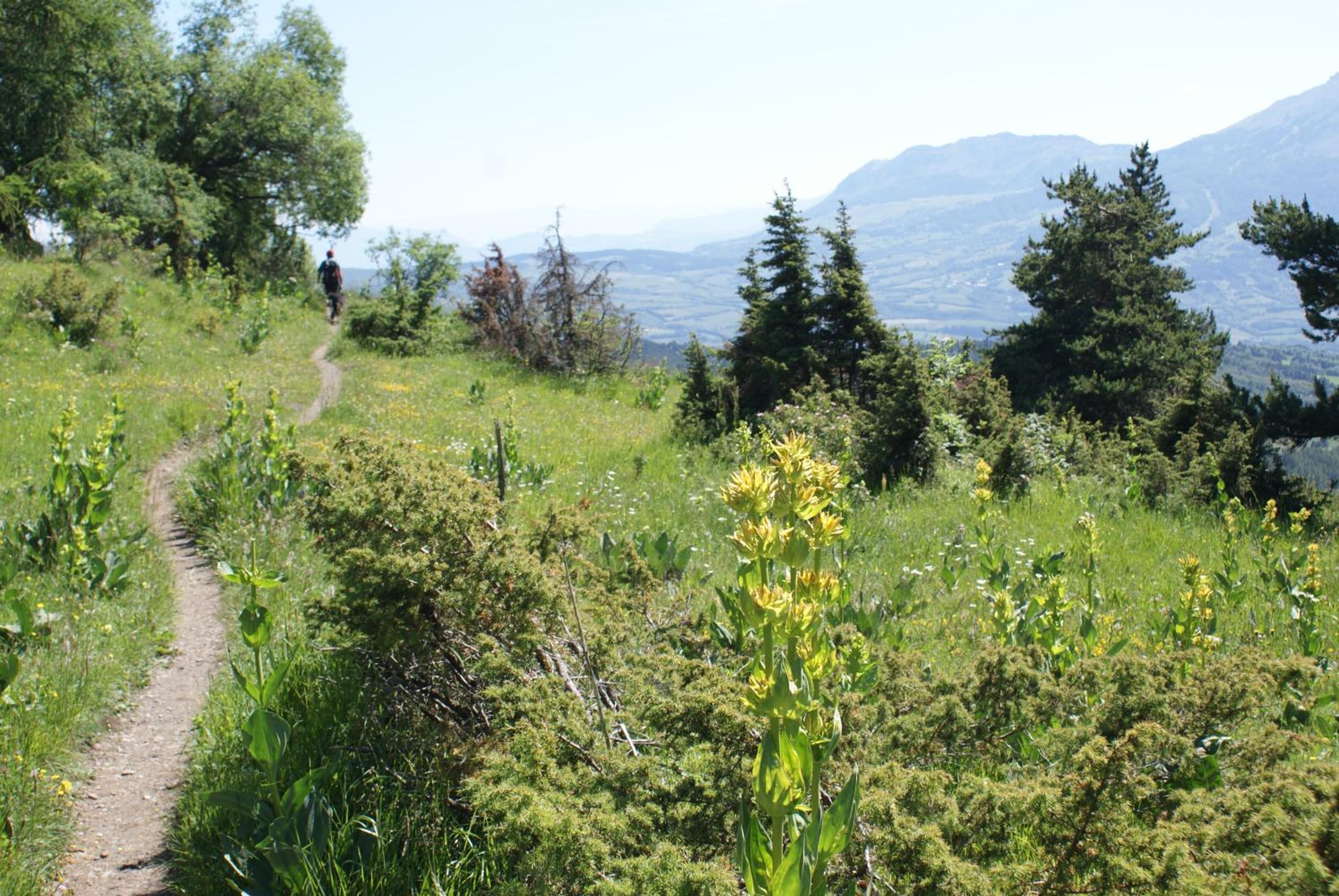 Photo 31