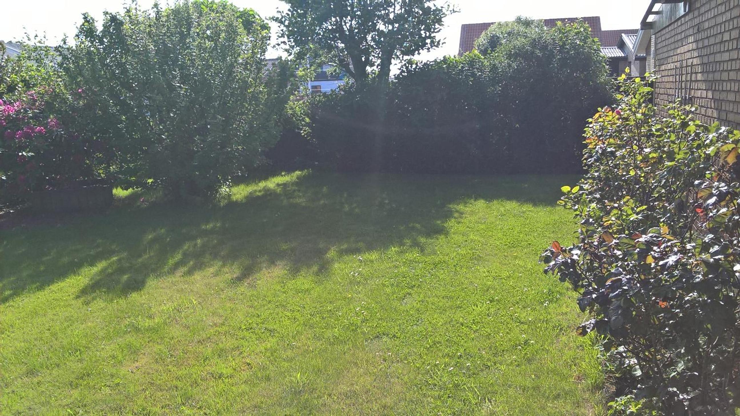 Photo 33