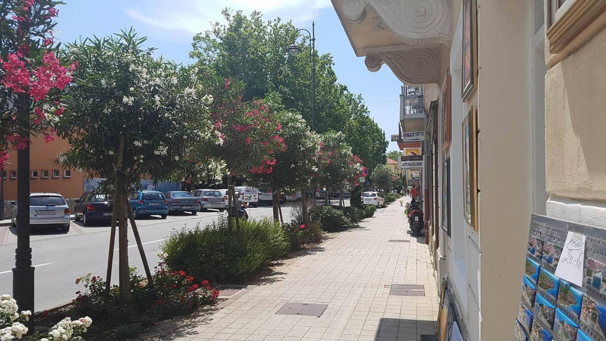 apartmandamir