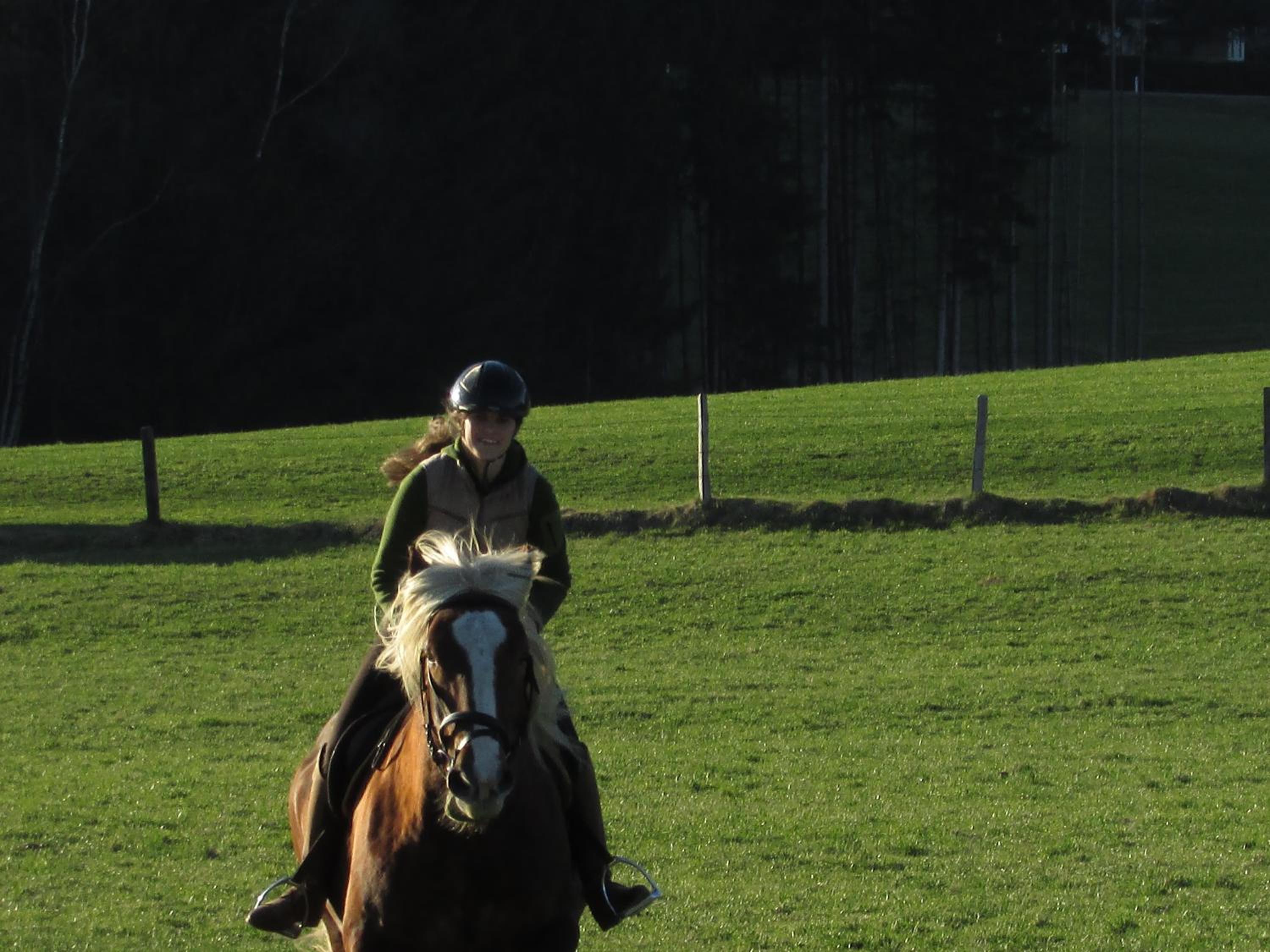 Photo 15