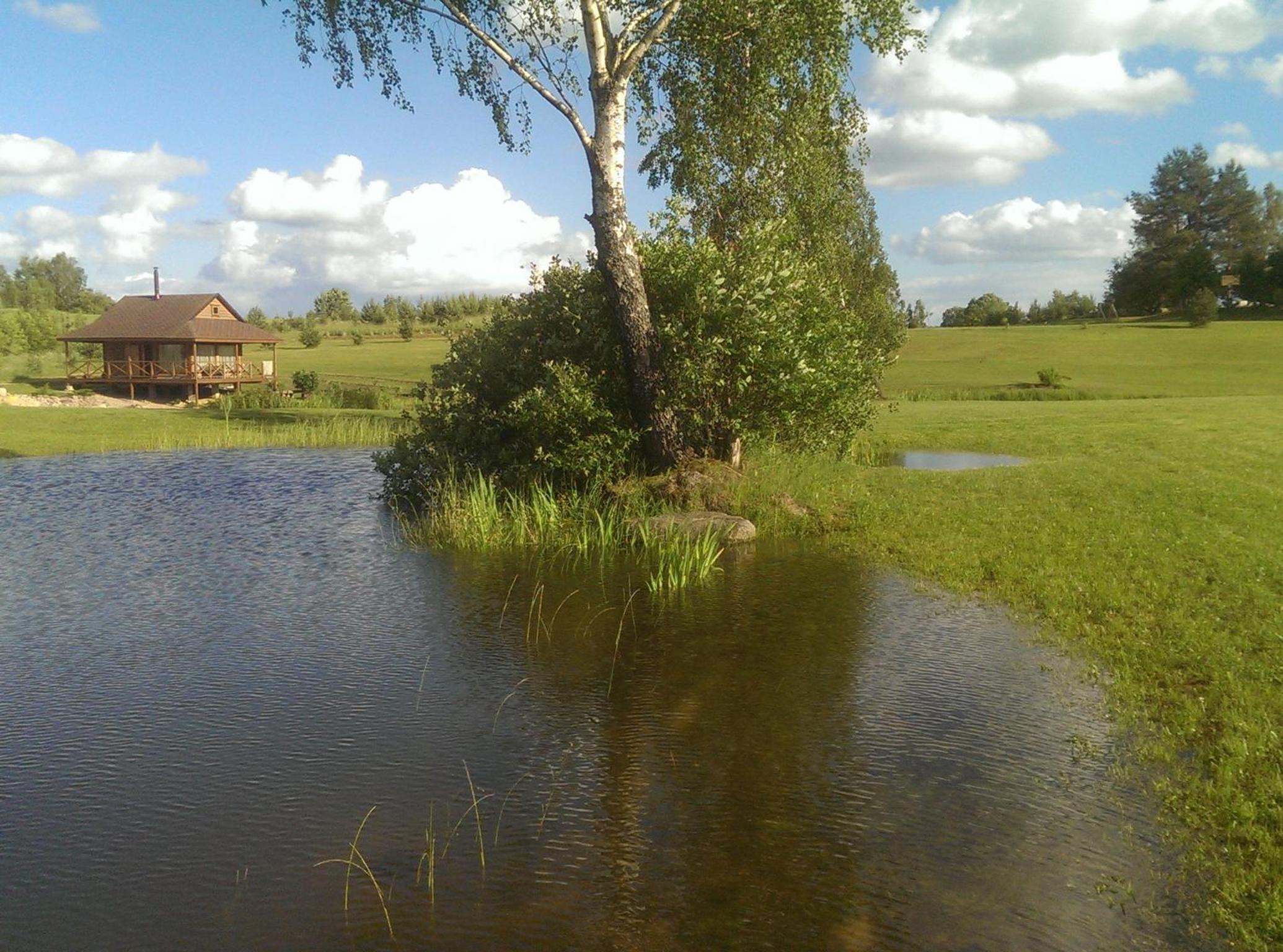 Photo 66
