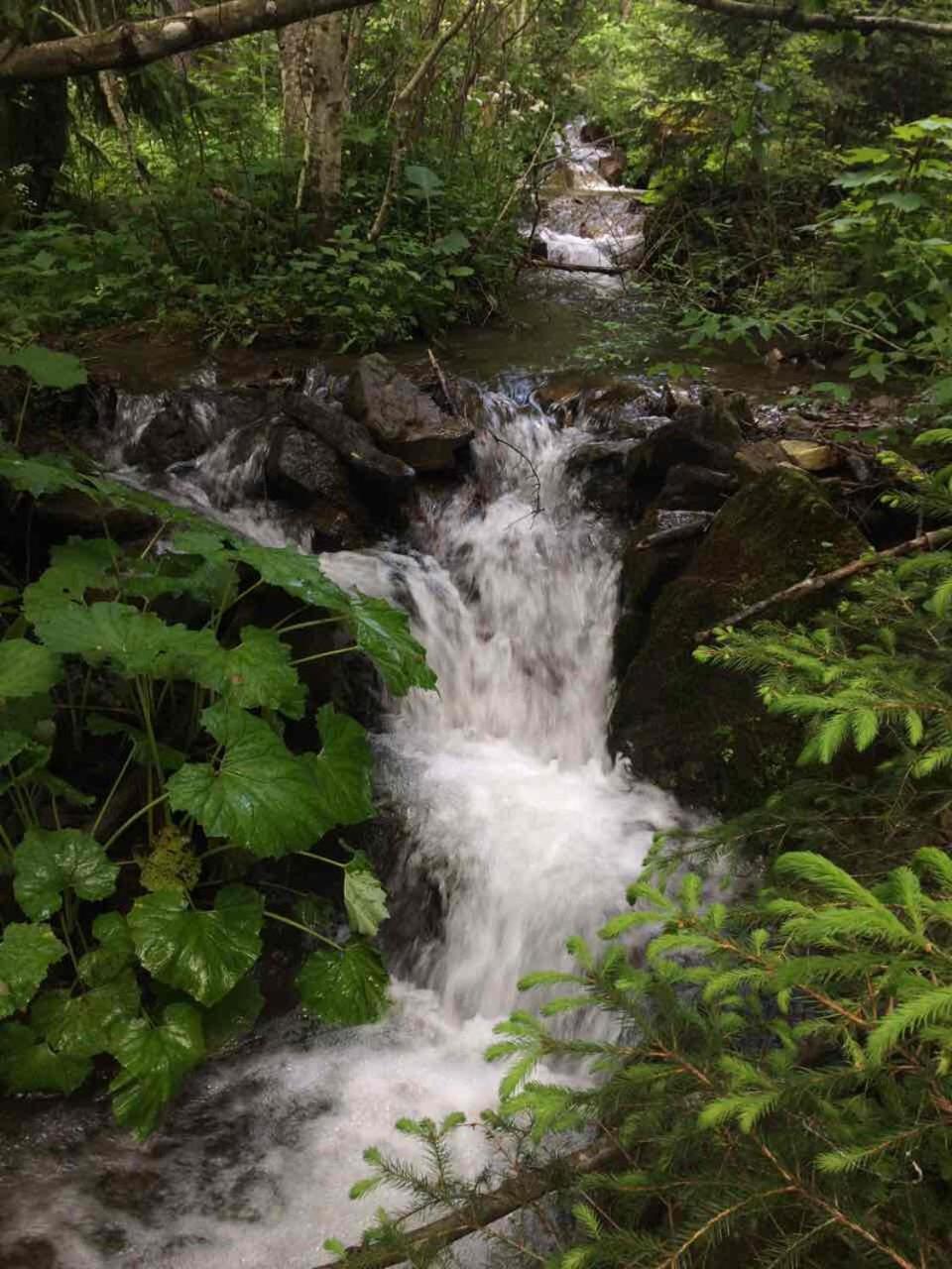 Photo 76