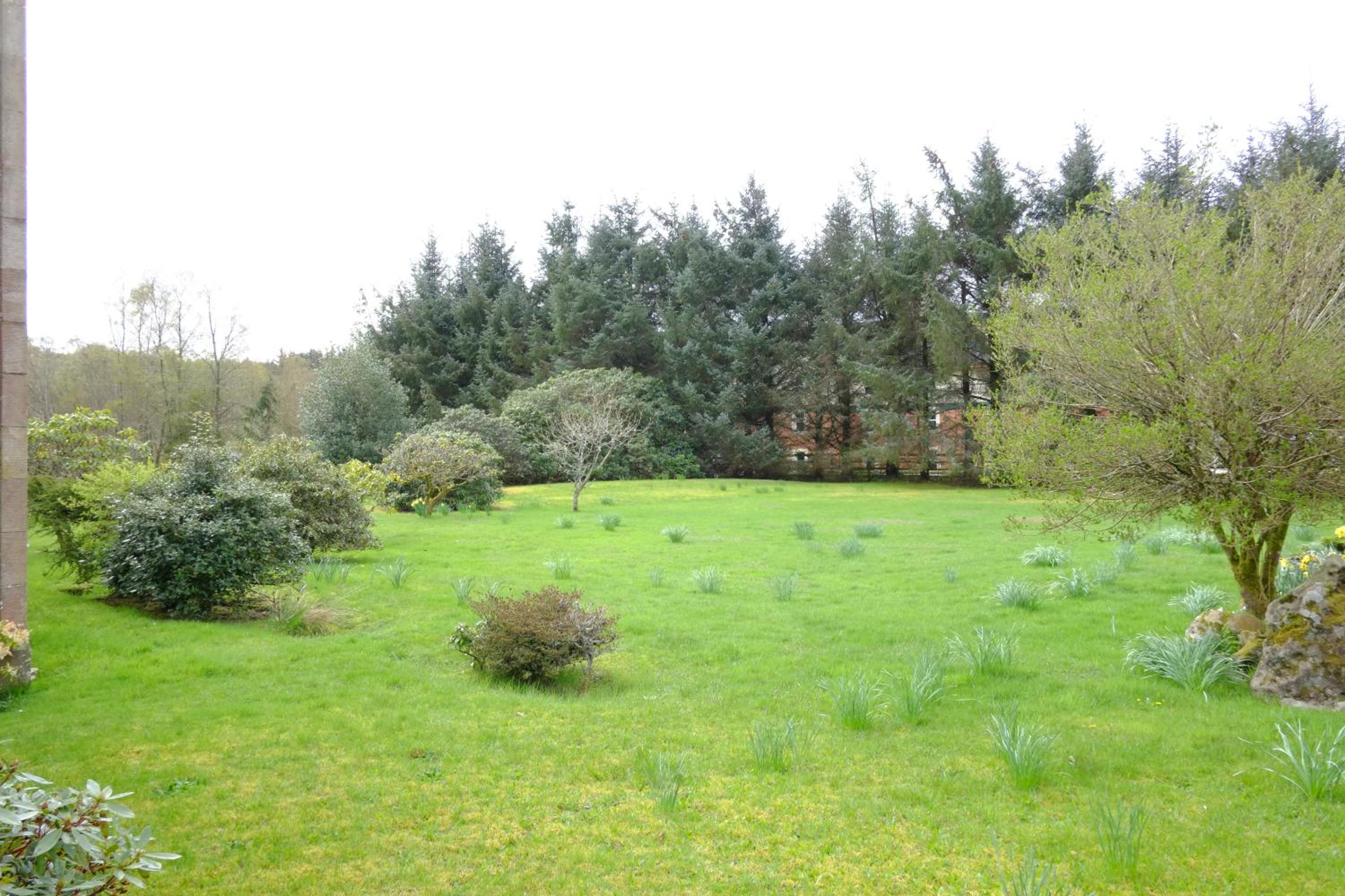 Photo 46