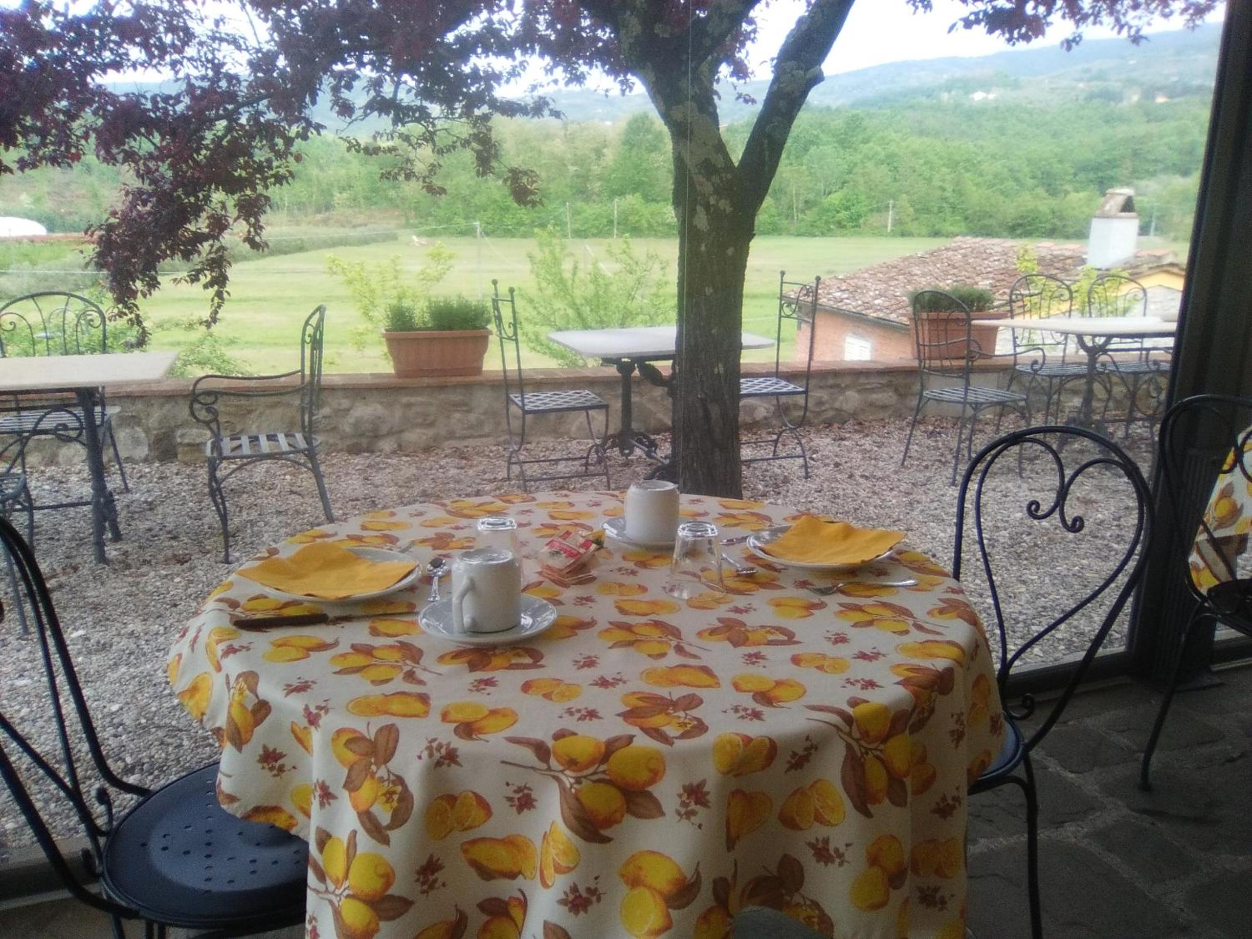 Amedea Tuscany Country Experience