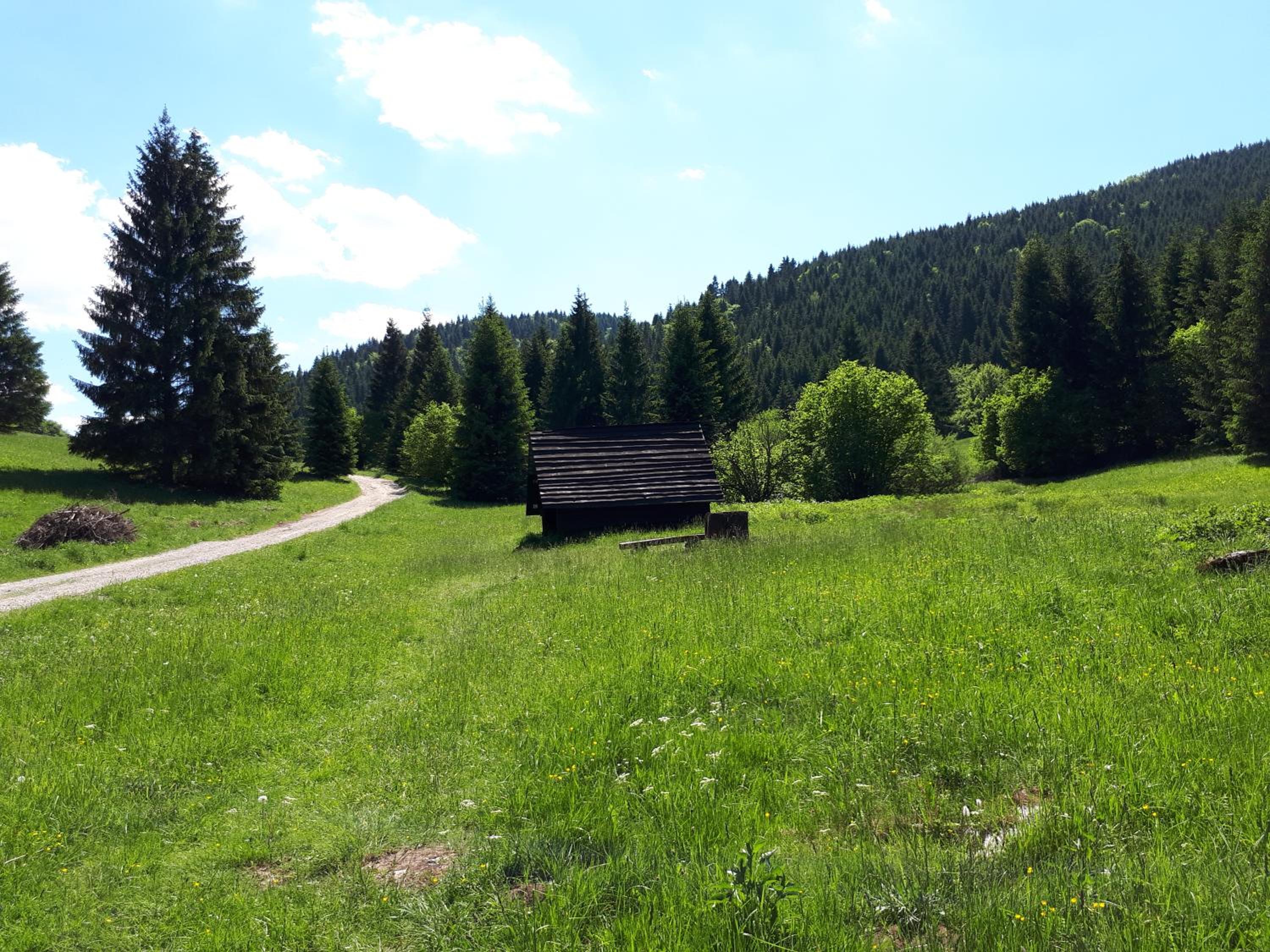 Photo 36