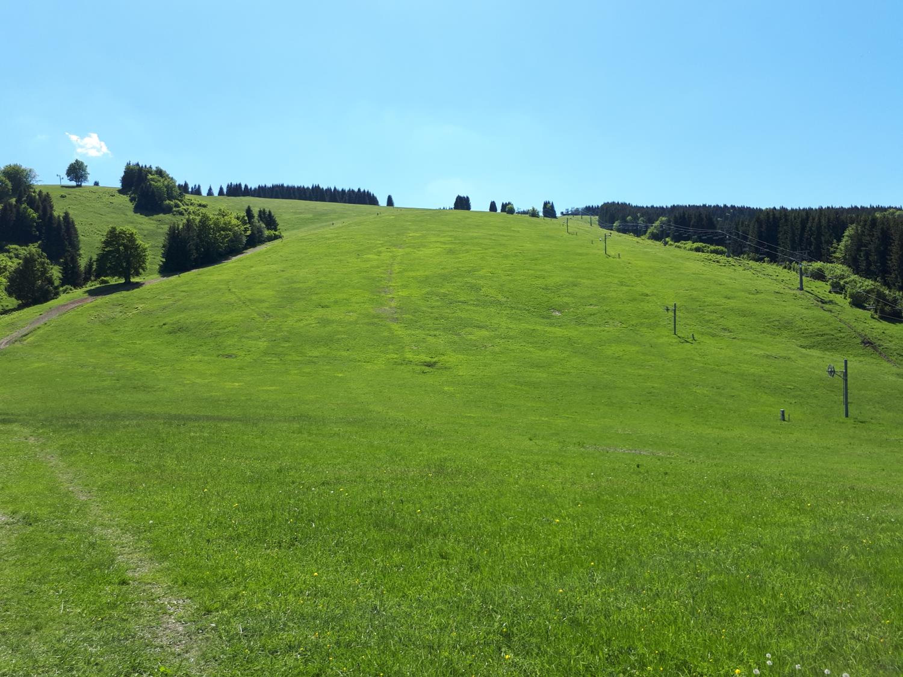 Photo 38