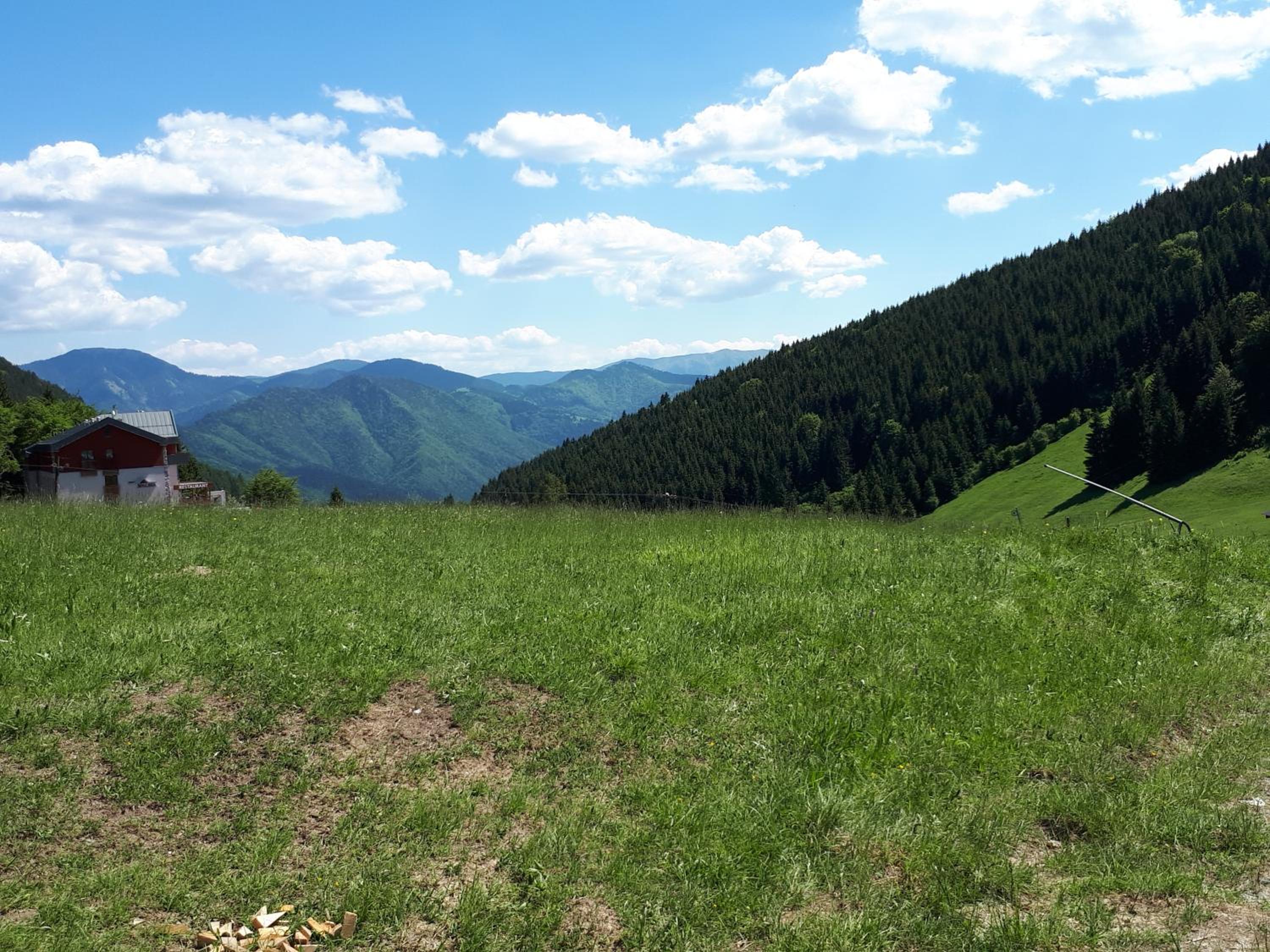 Photo 40