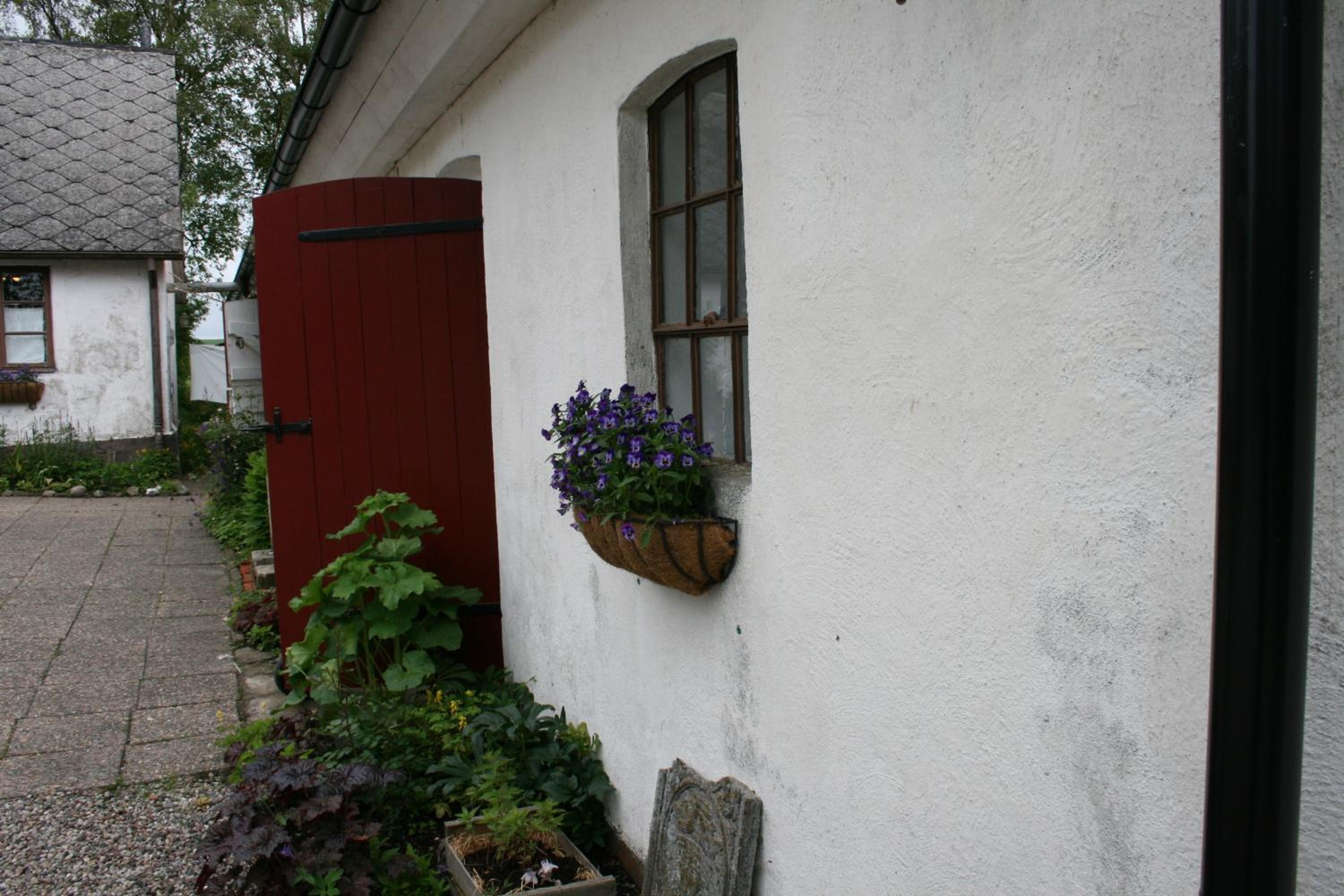 Photo 23