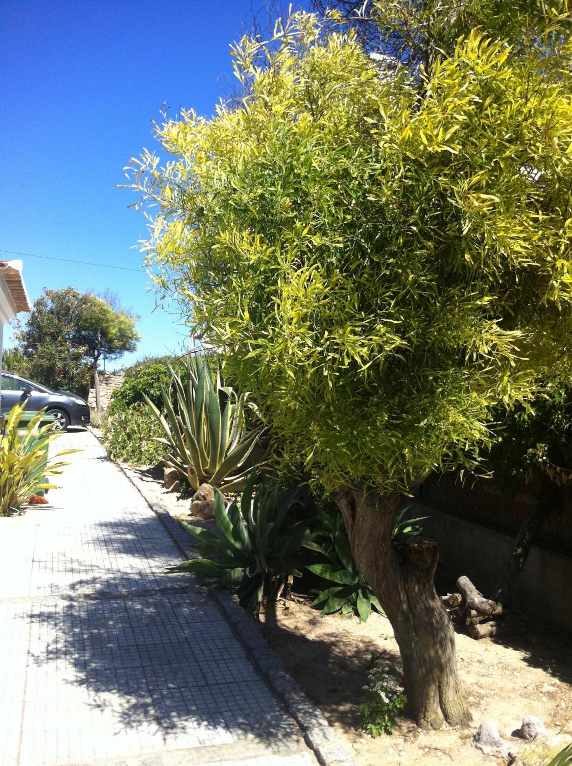 Photo 25