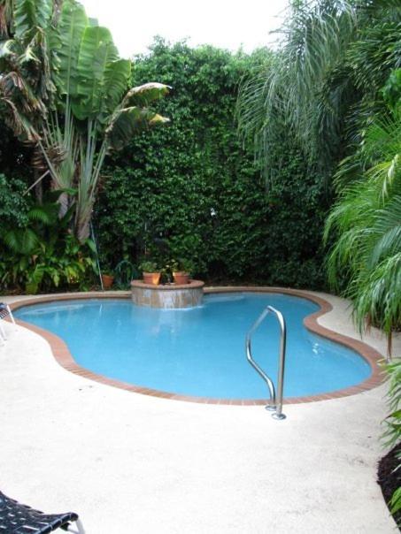 Mango Inn Bed and Breakfast view 5