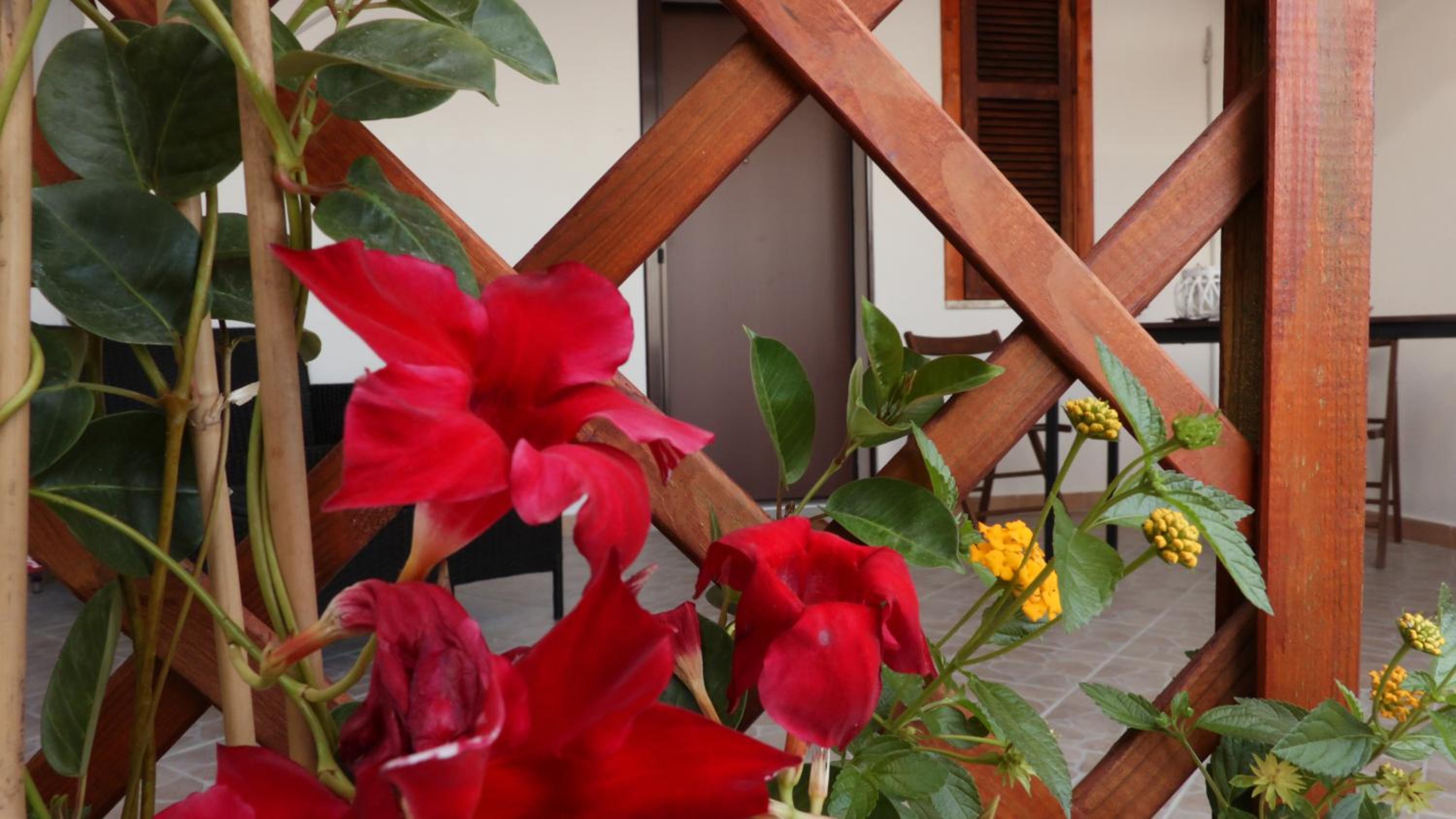 B&B Verzavò