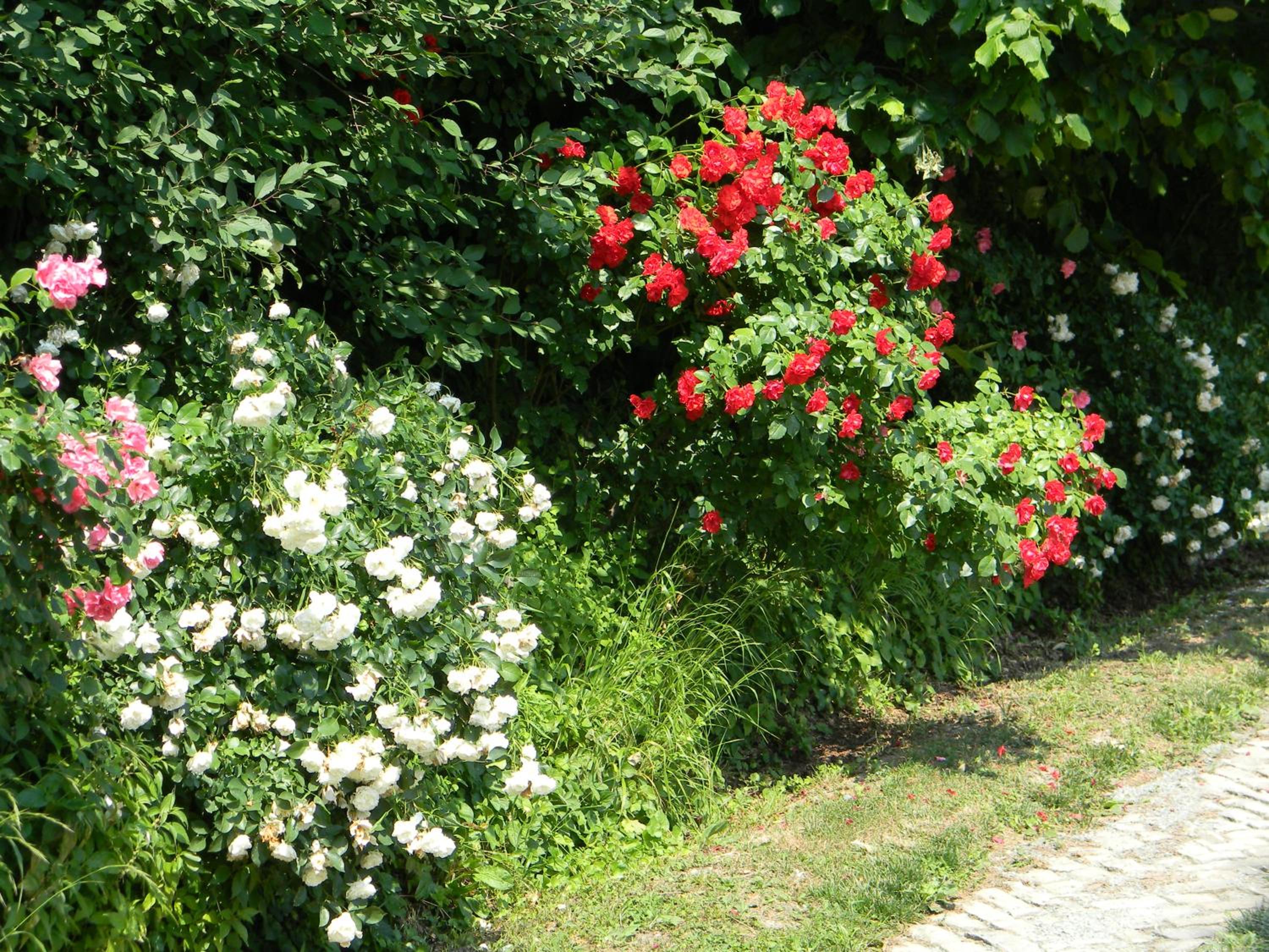 Residenza Cà d´Masseu view 5