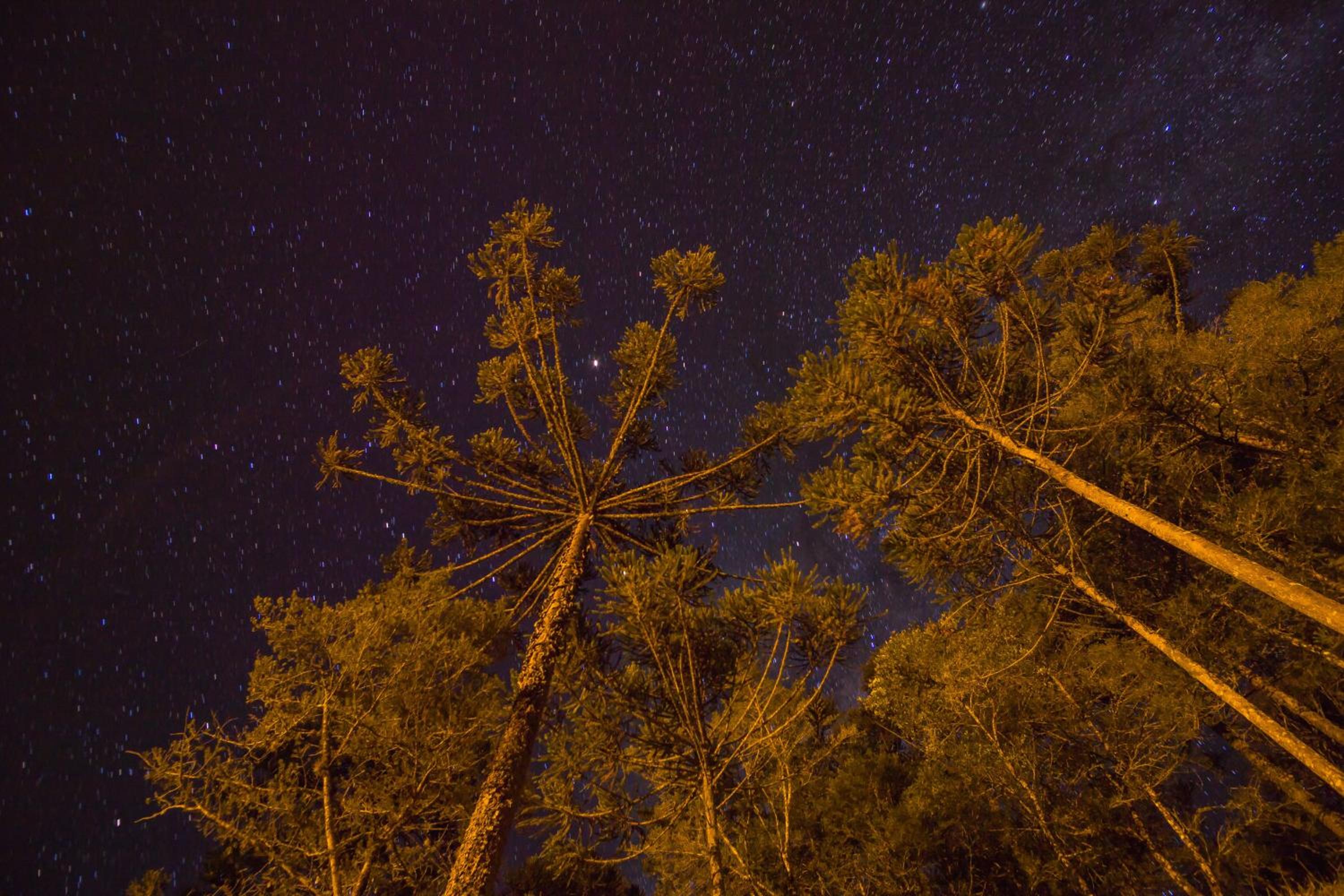 Pousada Recanto da Serra - Unidade Campestre