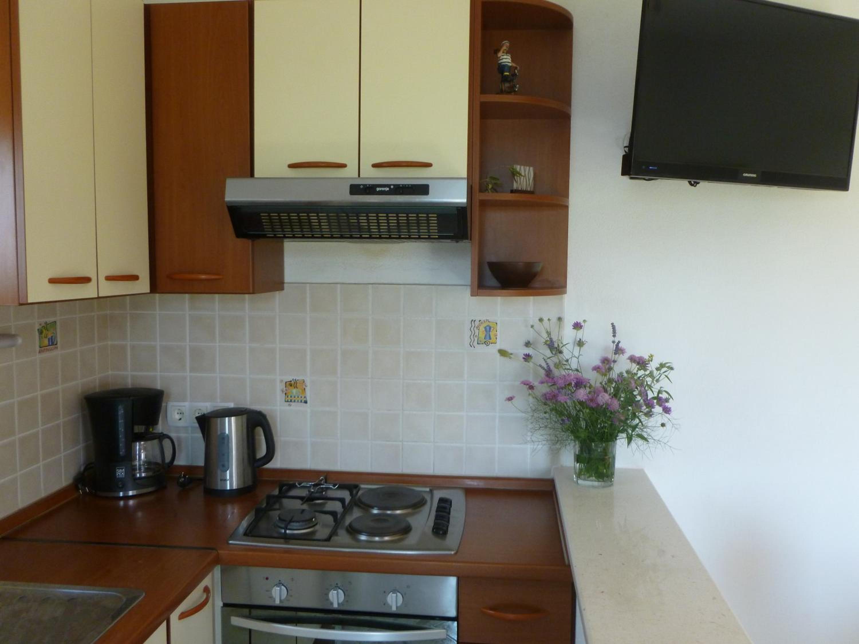 Apartment Botic