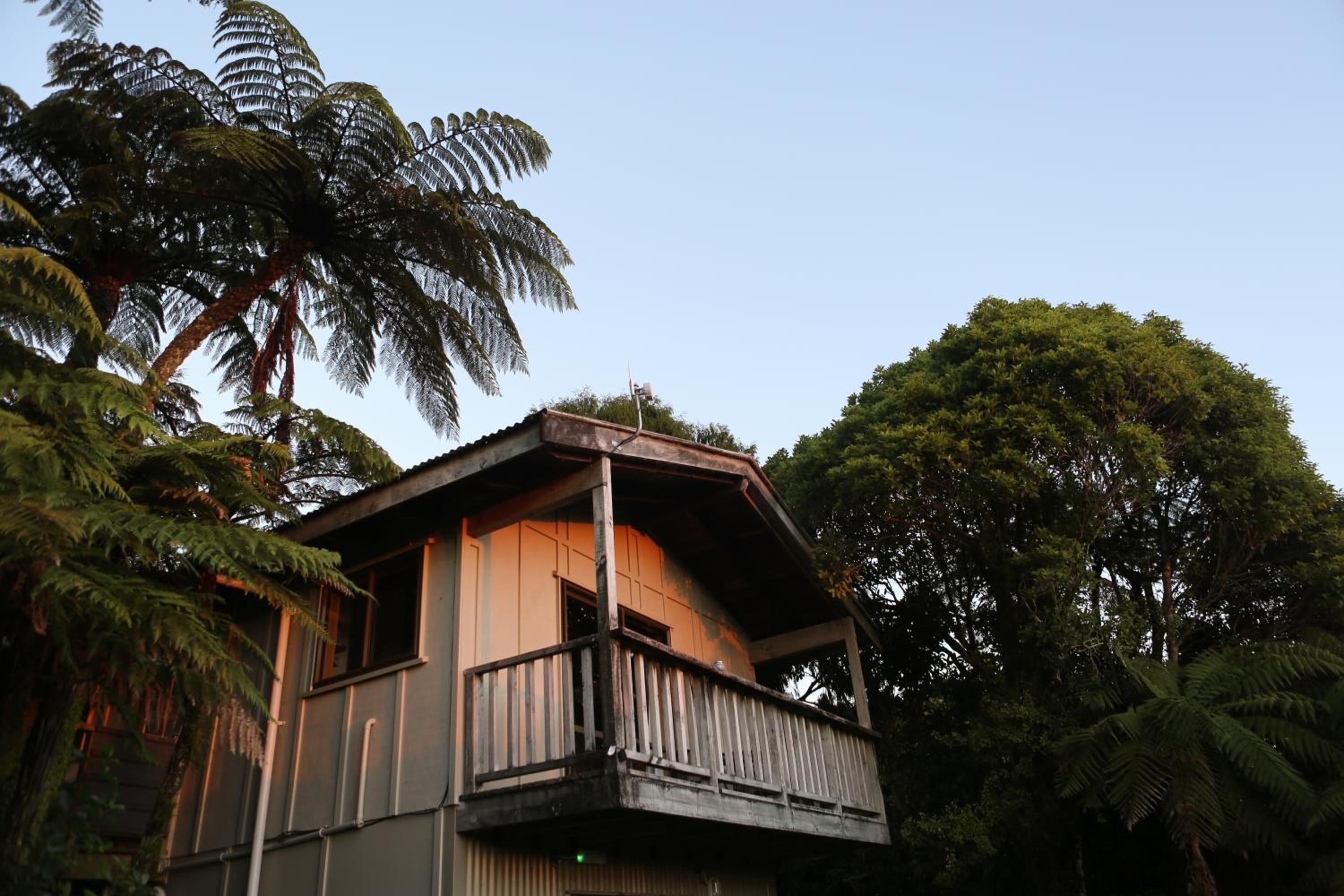 Te Nikau Retreat