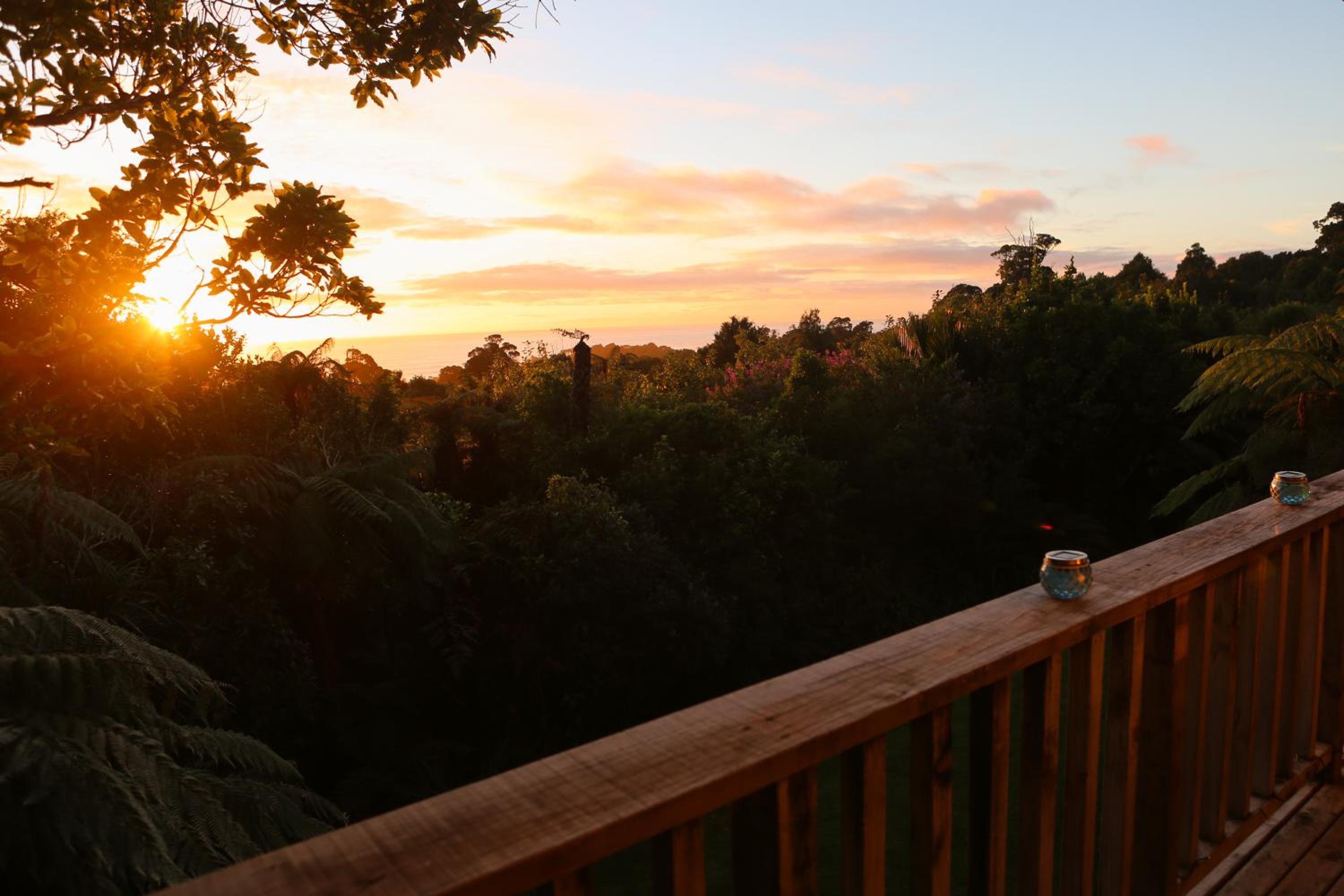 Te Nikau Retreat