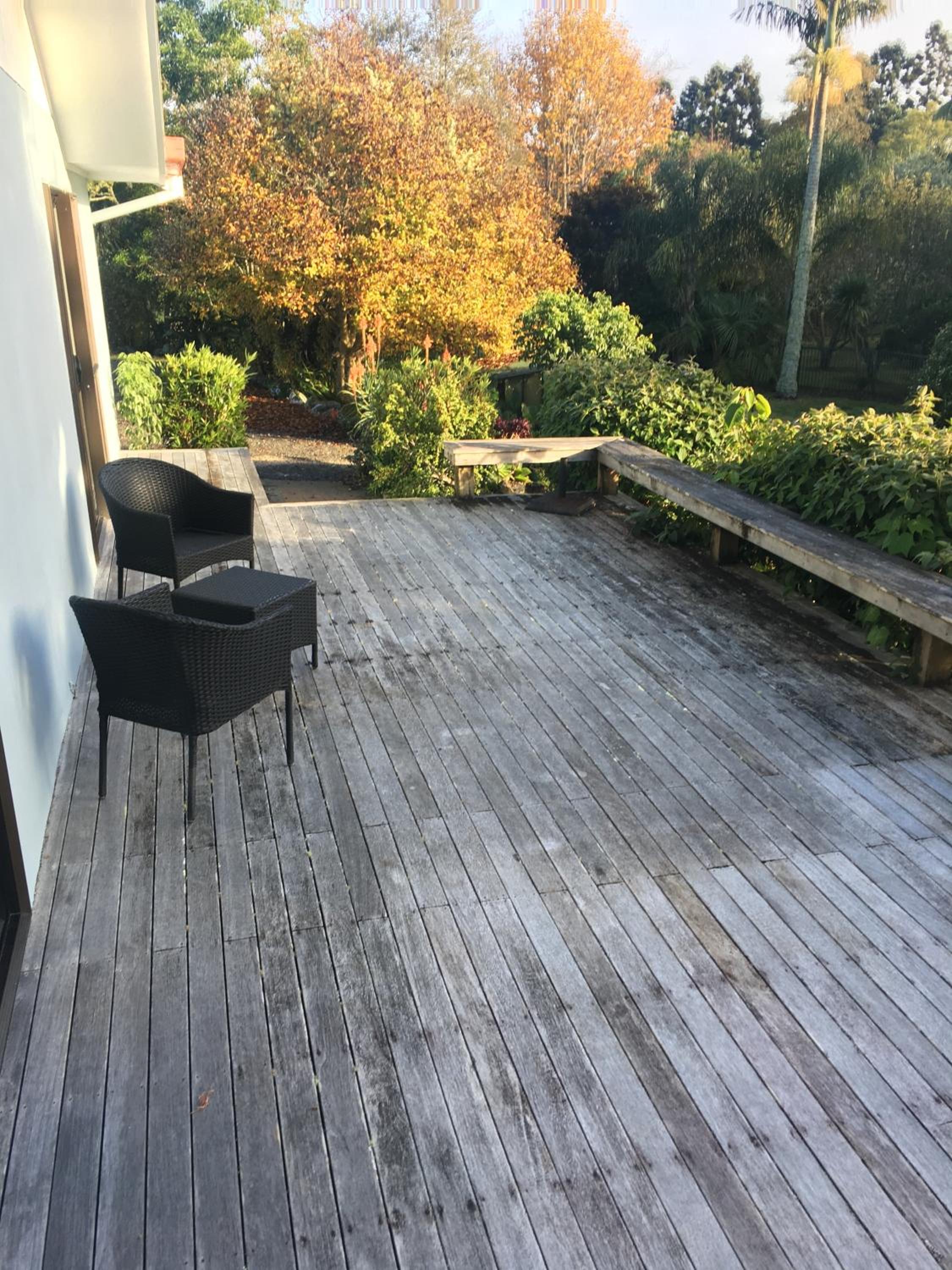 Photo 41