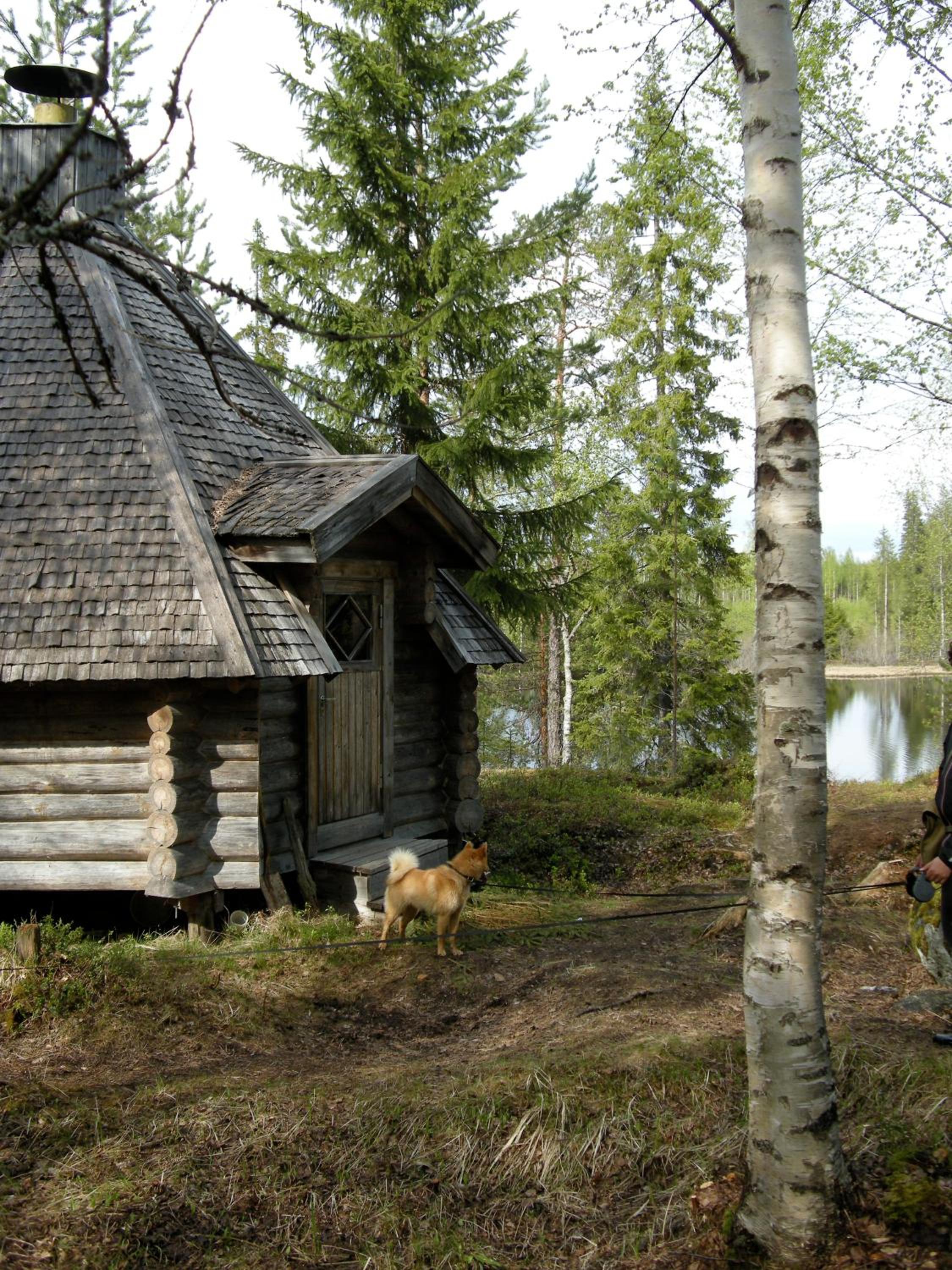 Photo 28