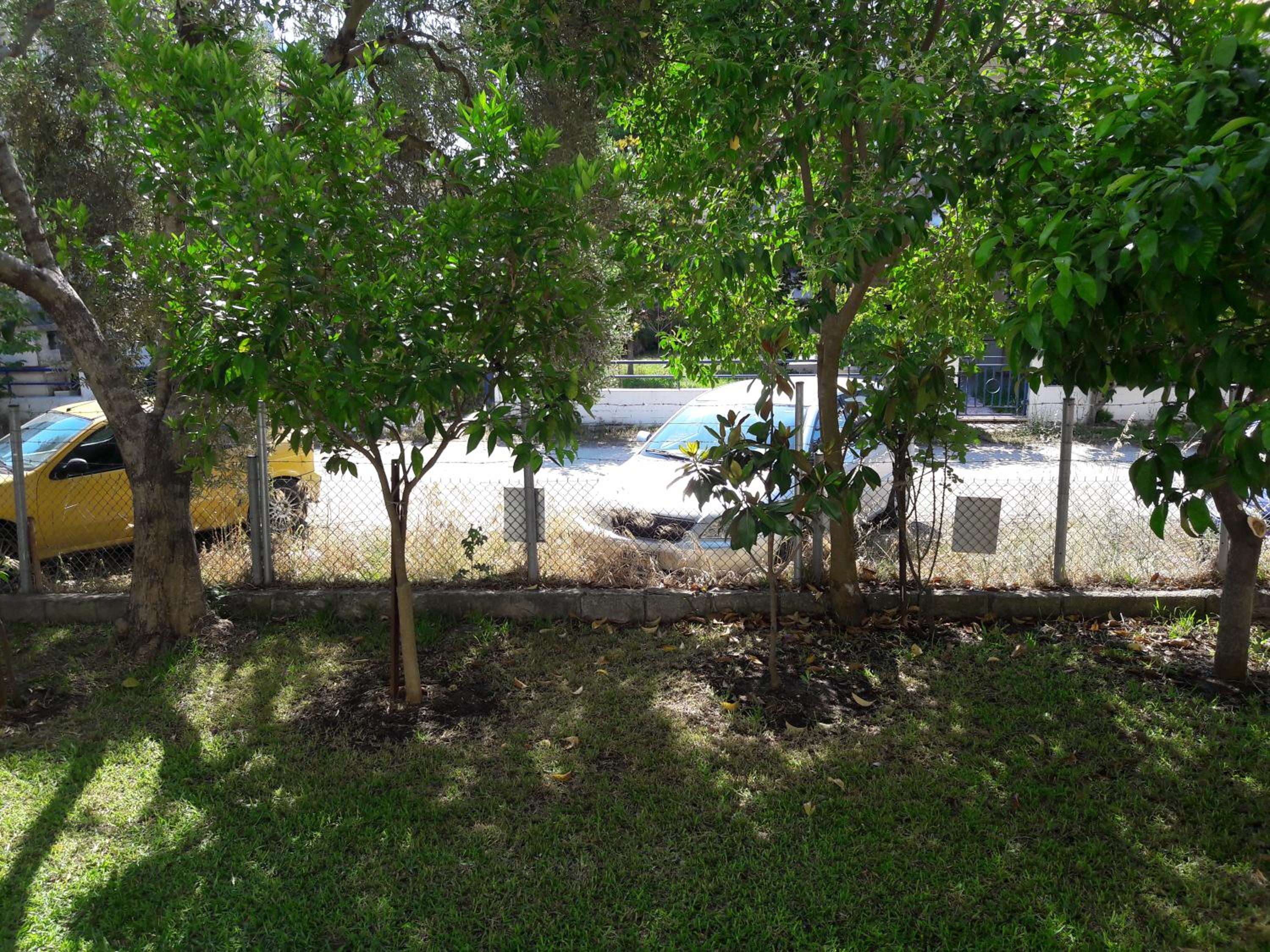 Photo 33