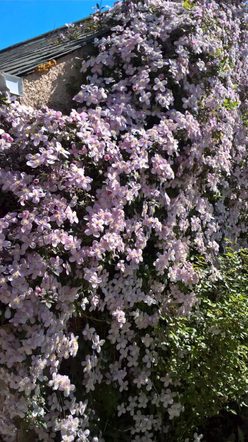 Photo 40
